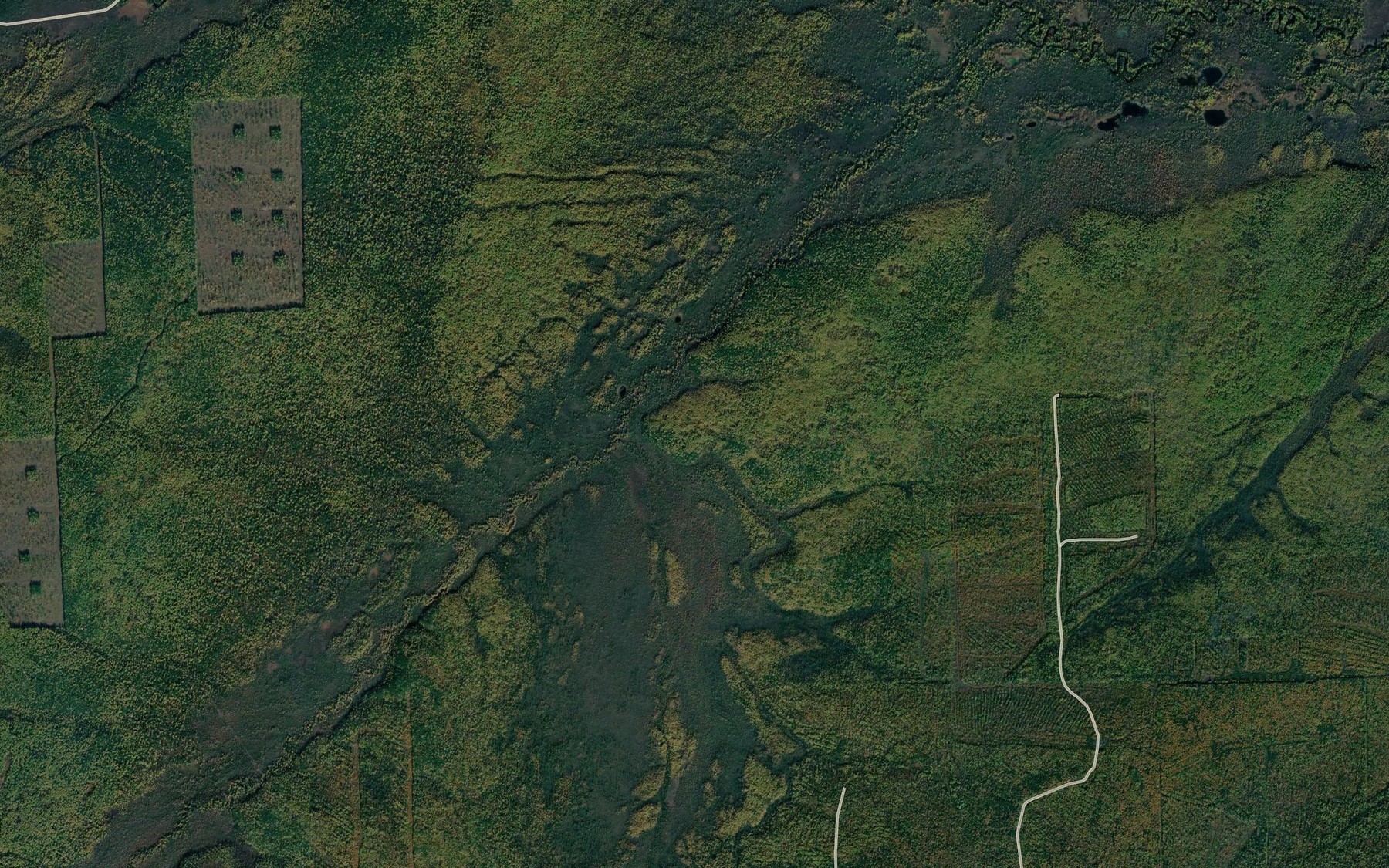 Satellite map of the Ogorodnyy