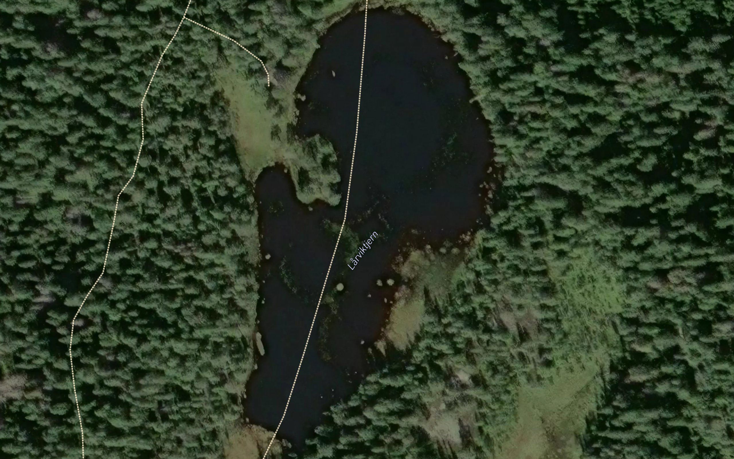 Larviktjernet