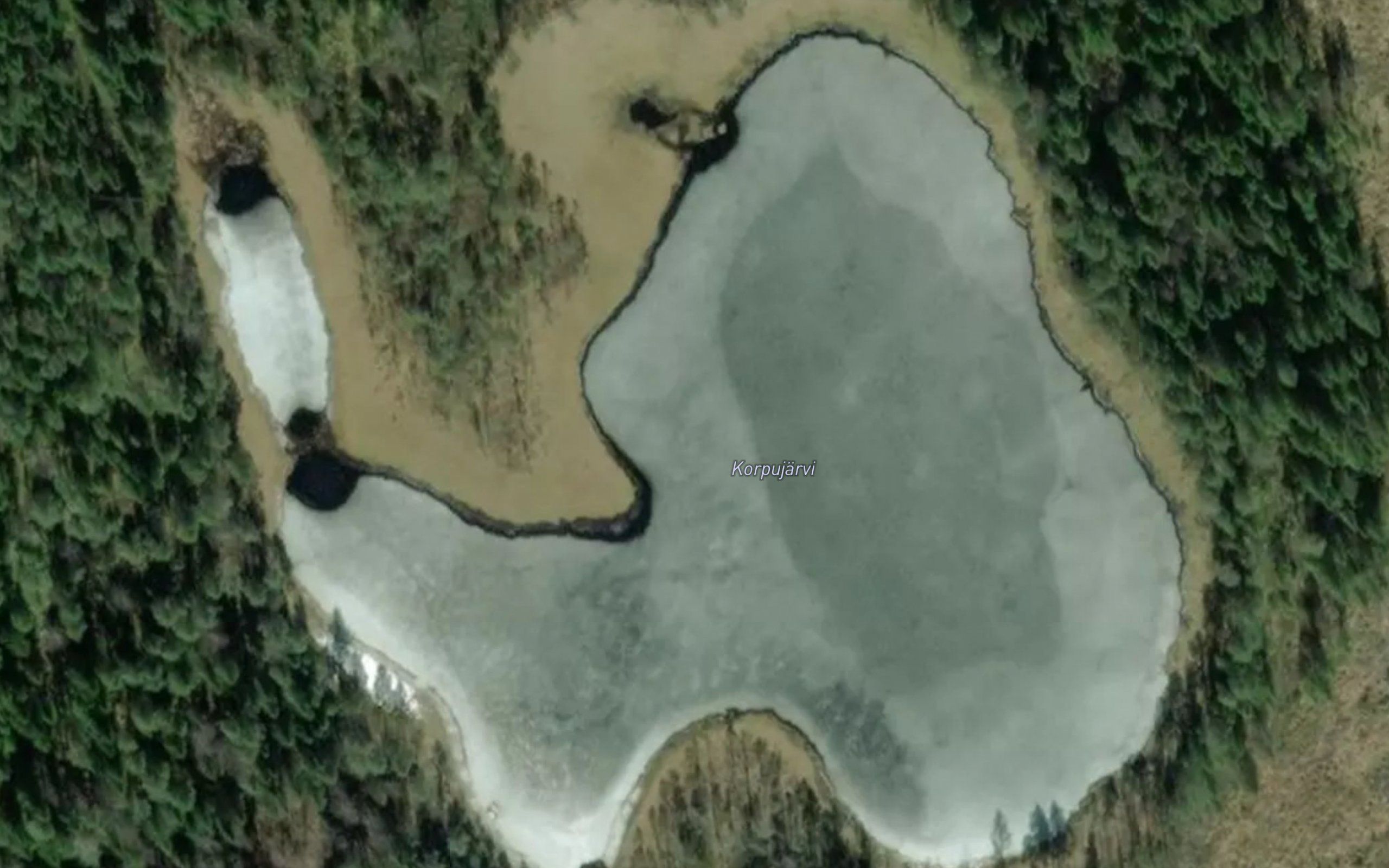 Korpujarvi