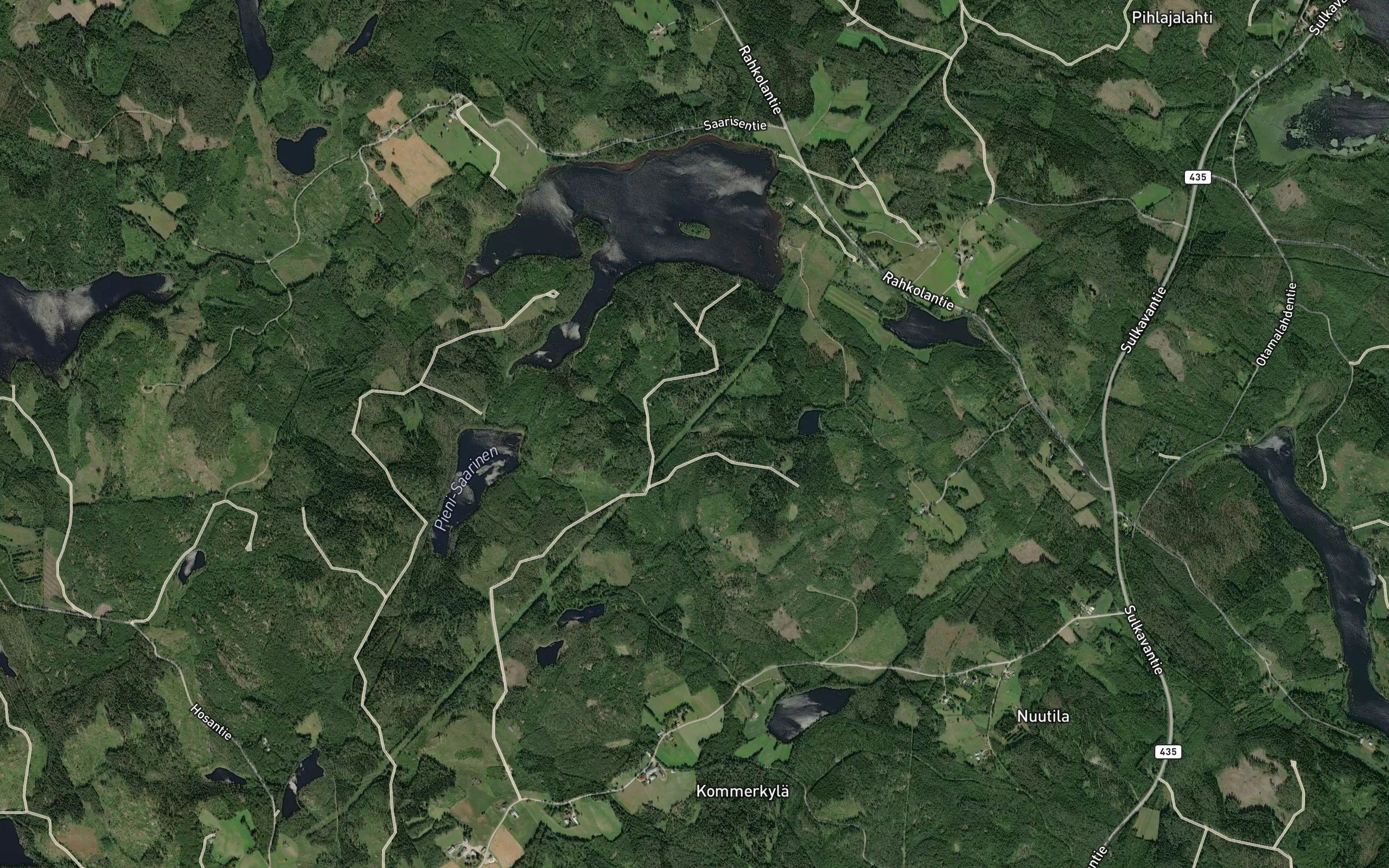 Vitikansilma
