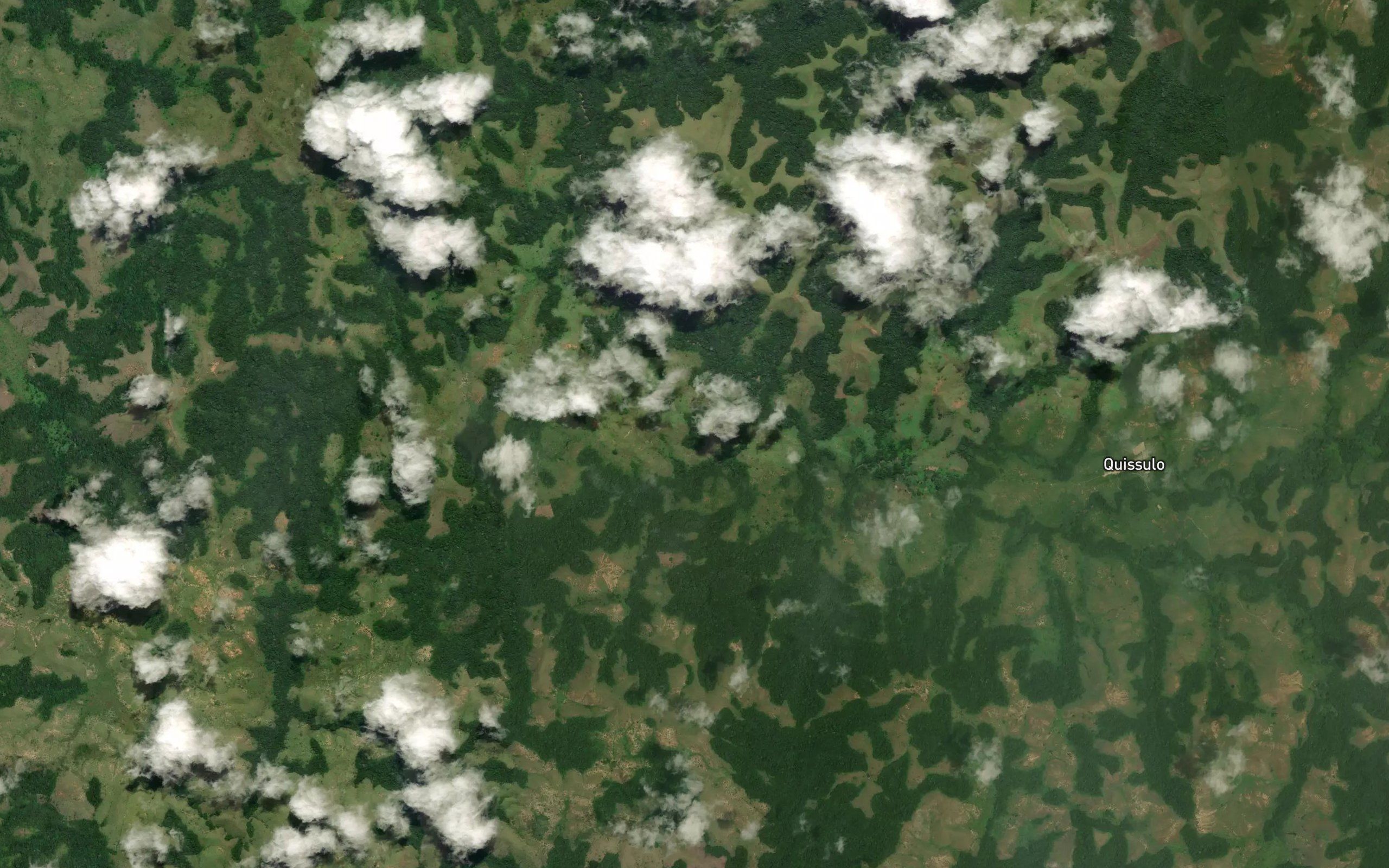 Senga