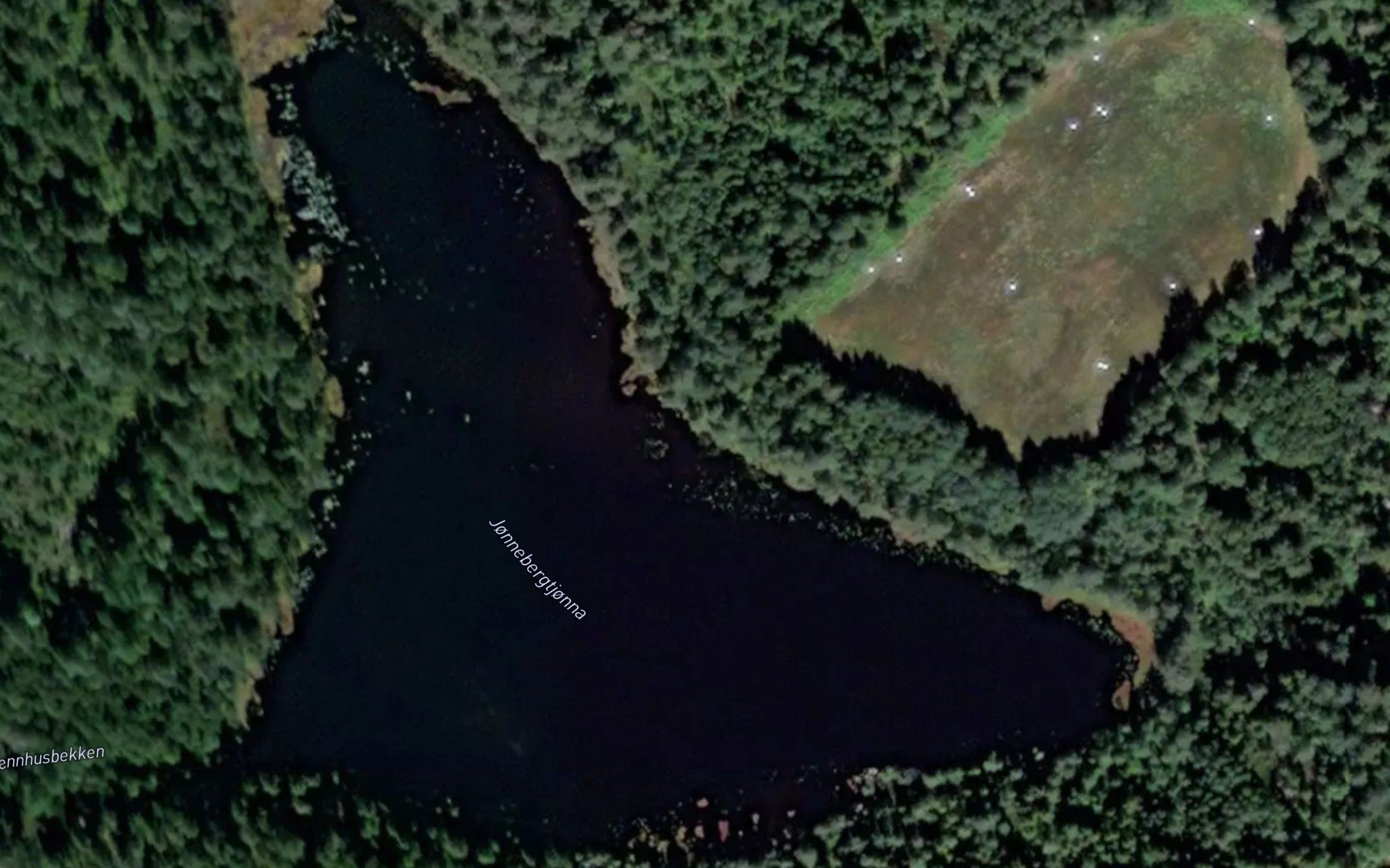 Jonnebergtjonna