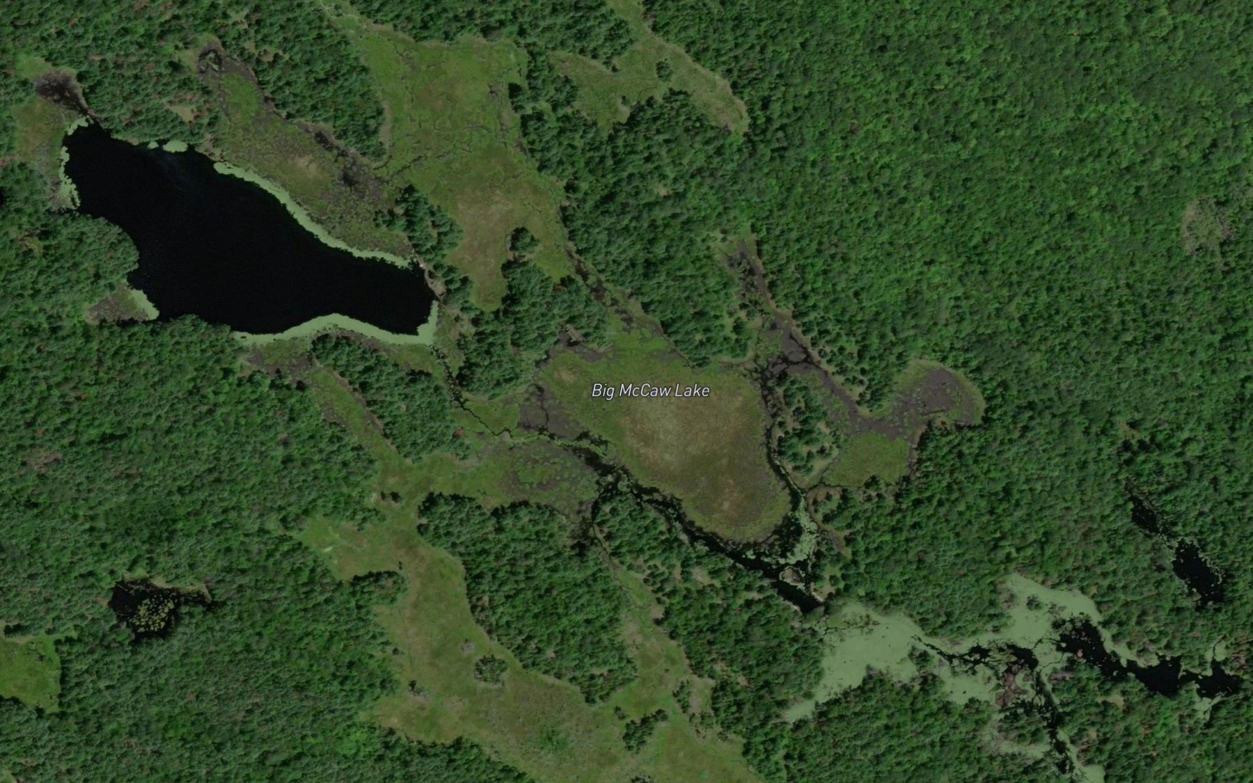 Satellite map of the Big McCaw Lake