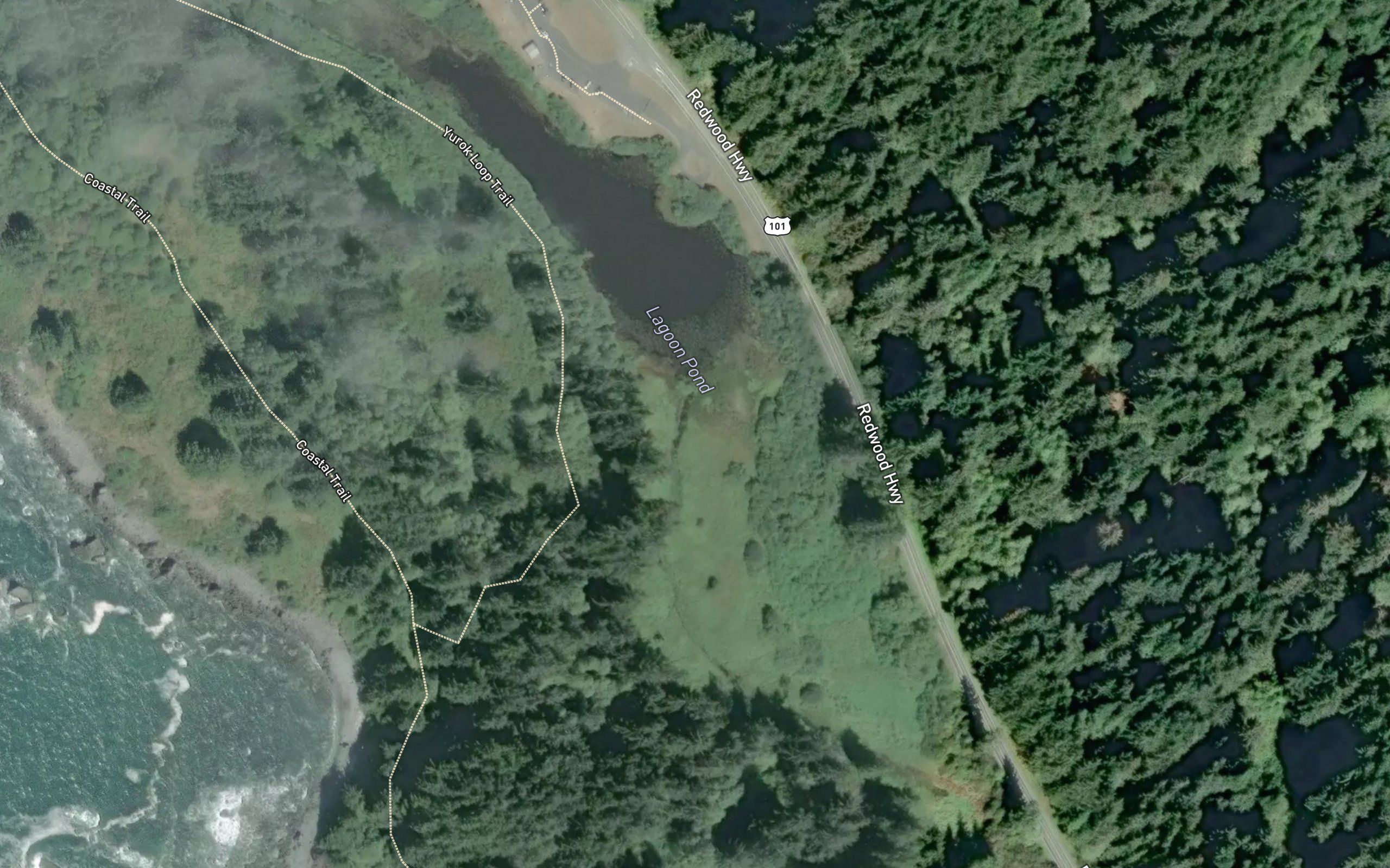 Lagoon Pond