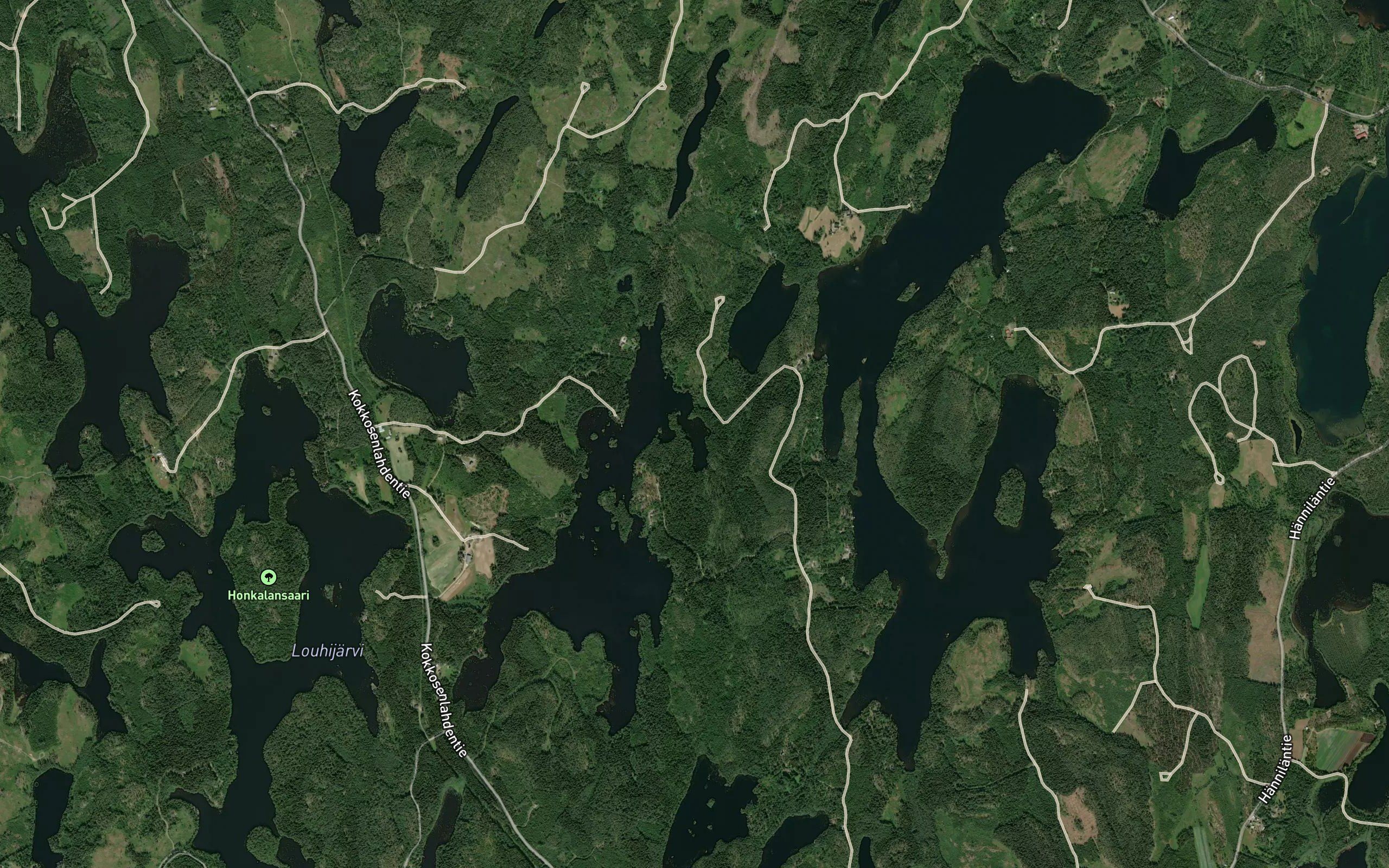 Litvasenlahti