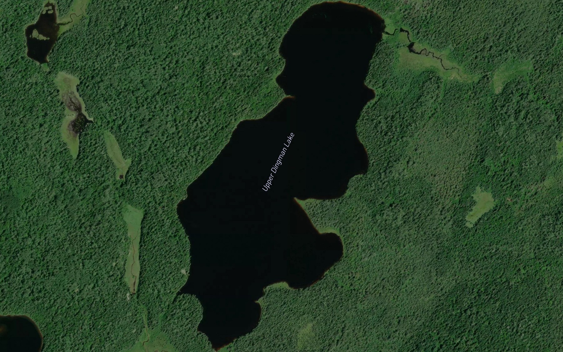 Satellite map of the Upper Dingman Lake