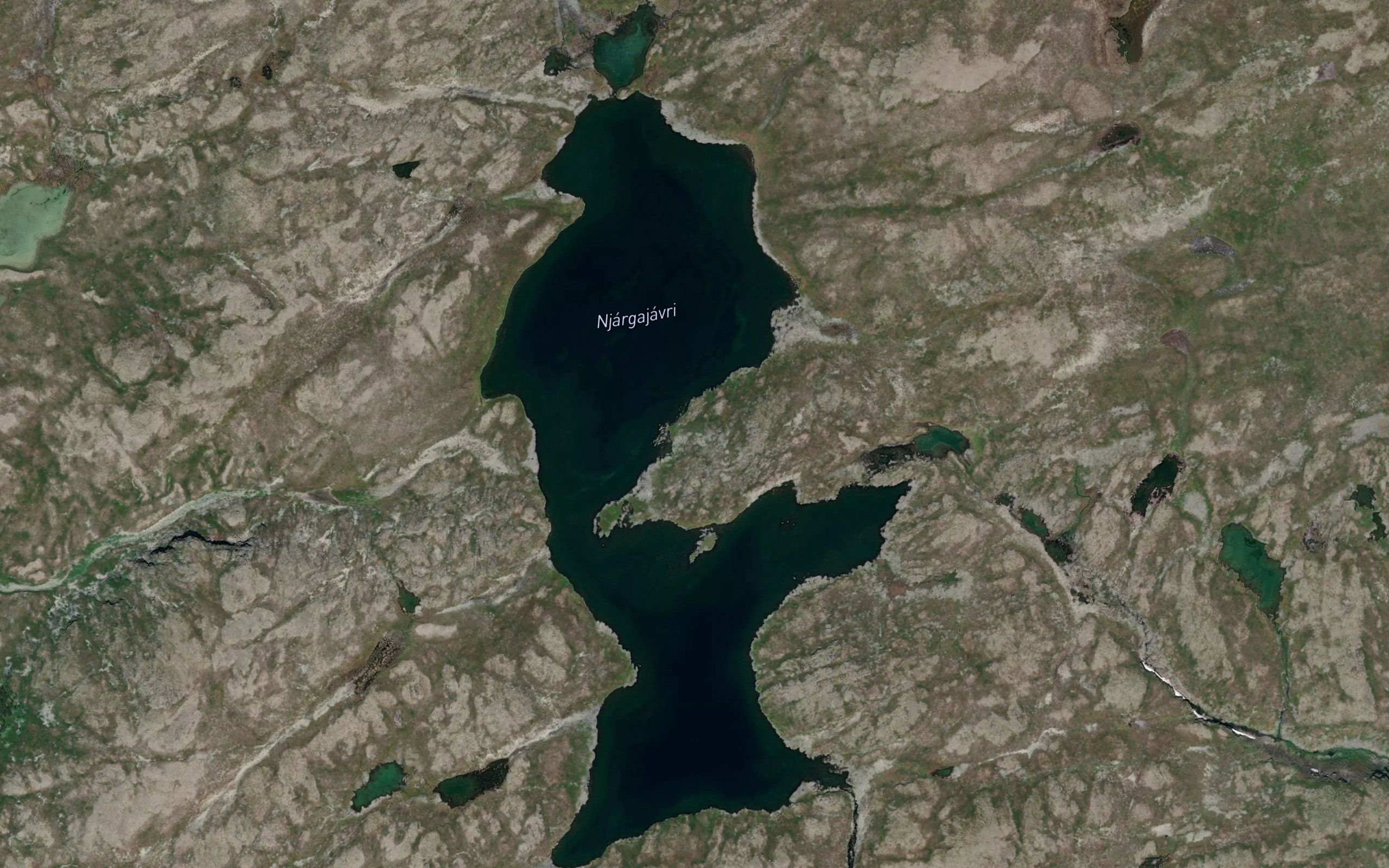 Njargajavri
