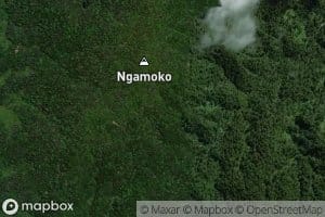 Ngamoko Stream