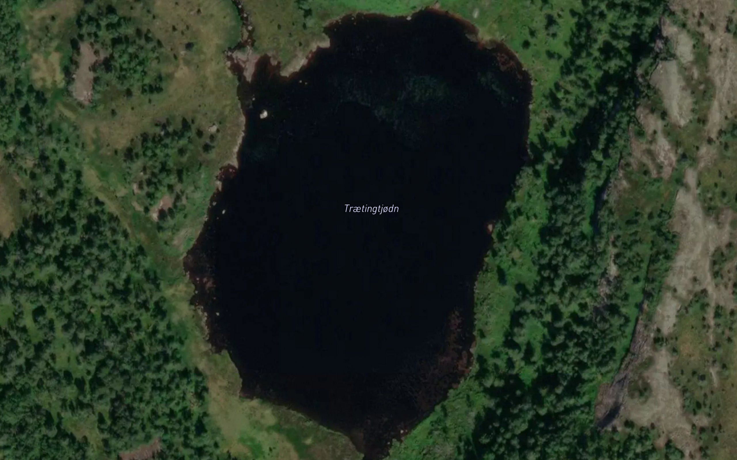 Traetingtjorn