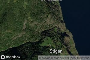 Stegeelvi