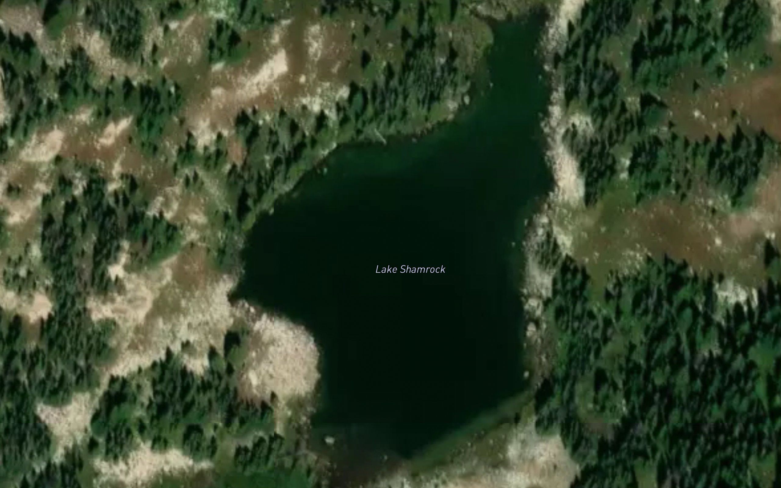 Lake Shamrock