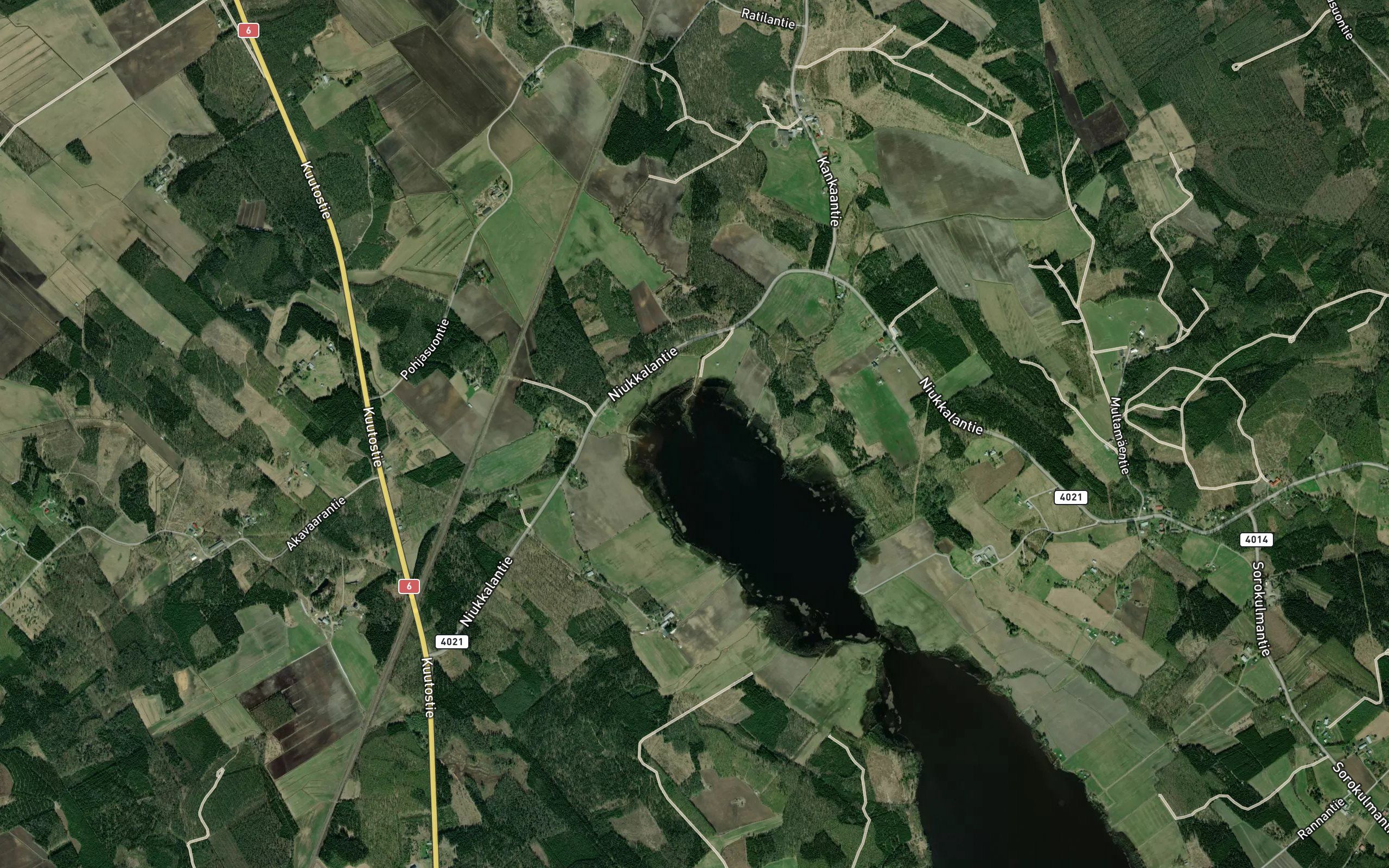 Palokummunjoki