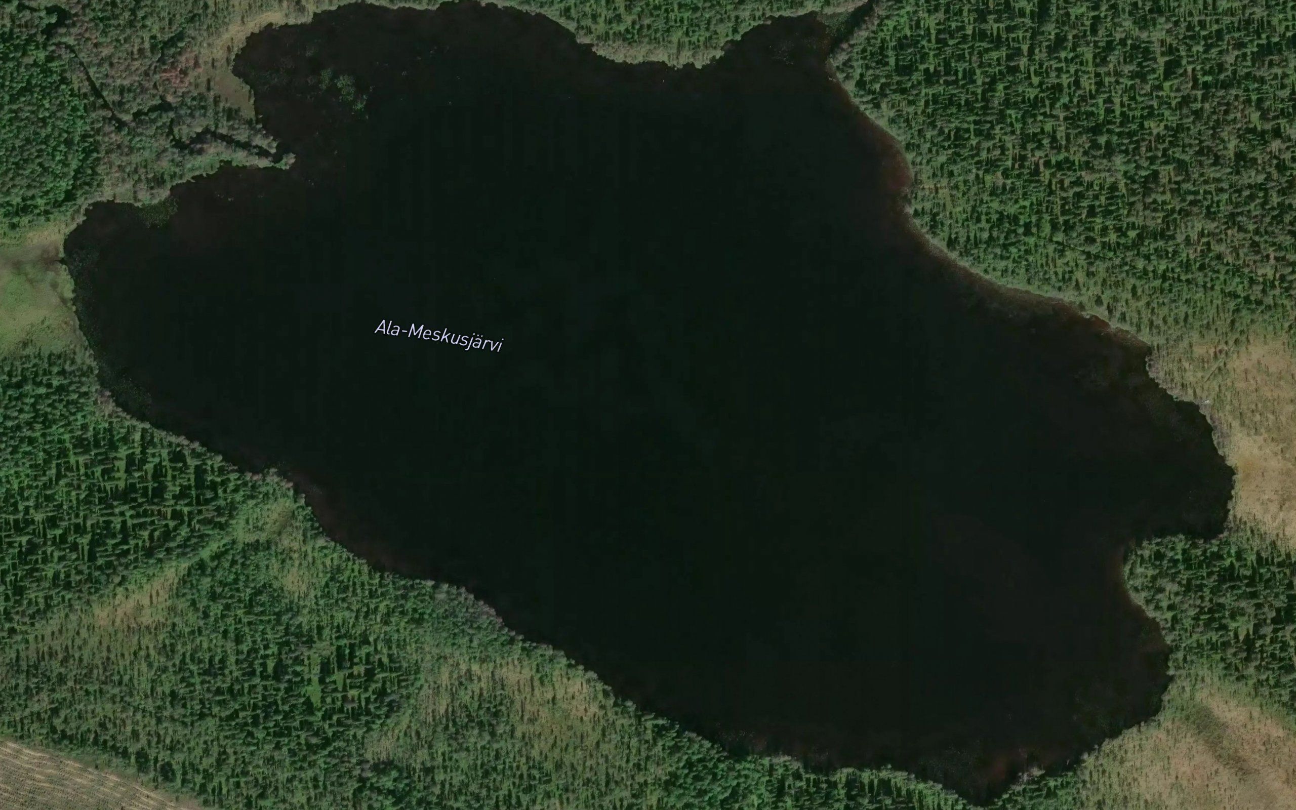 Ala-Meskusjarvi