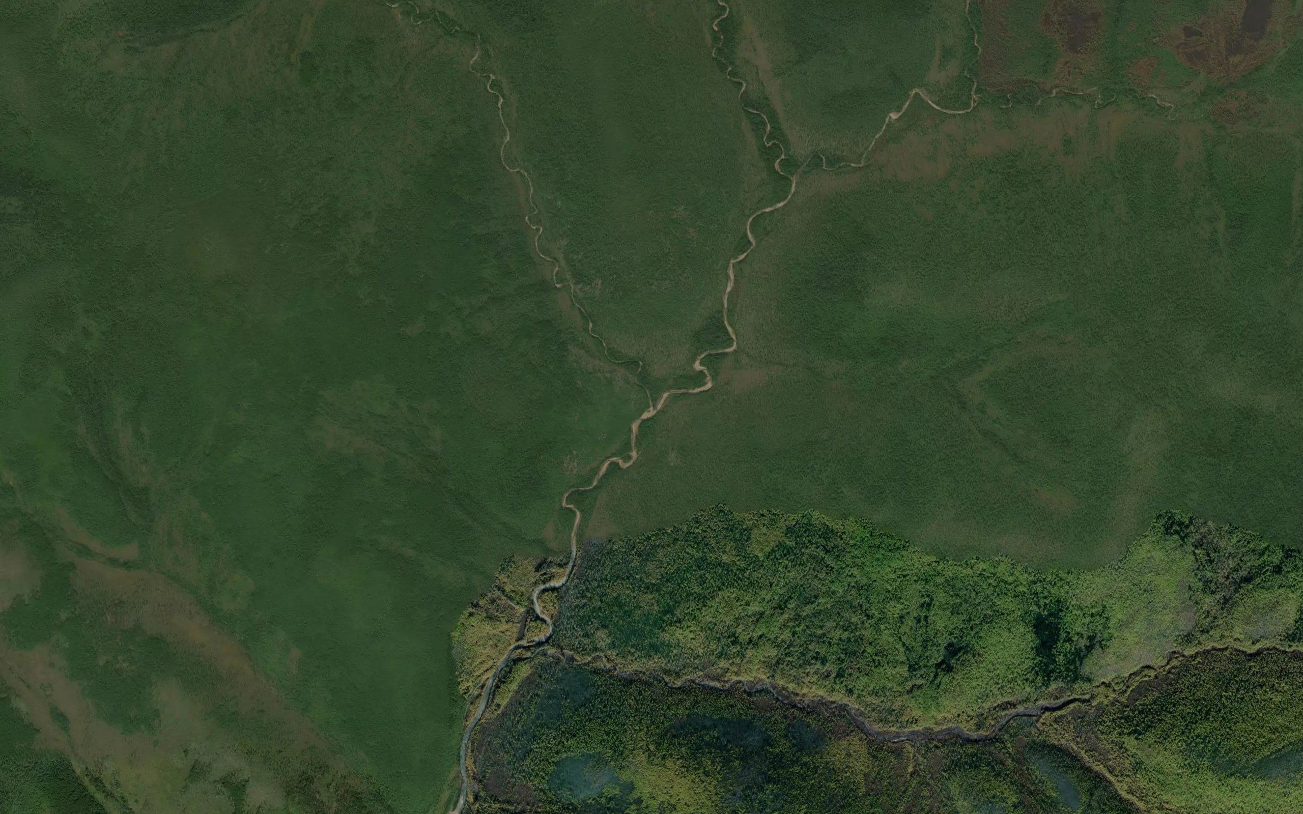 Stlanikovyy