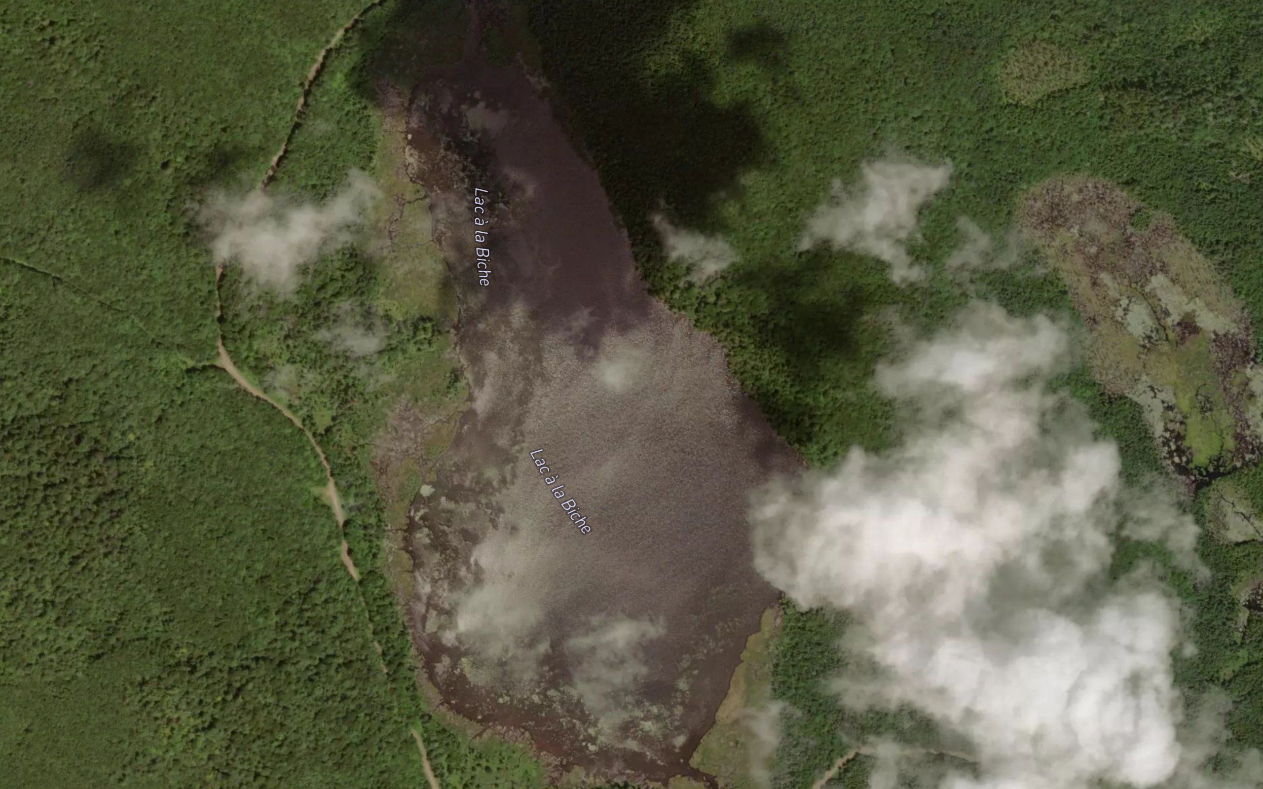 Lac a la Biche