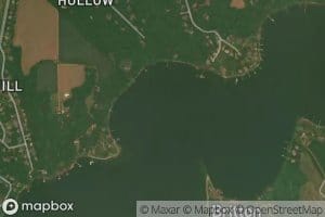 Pawpaw Hollow