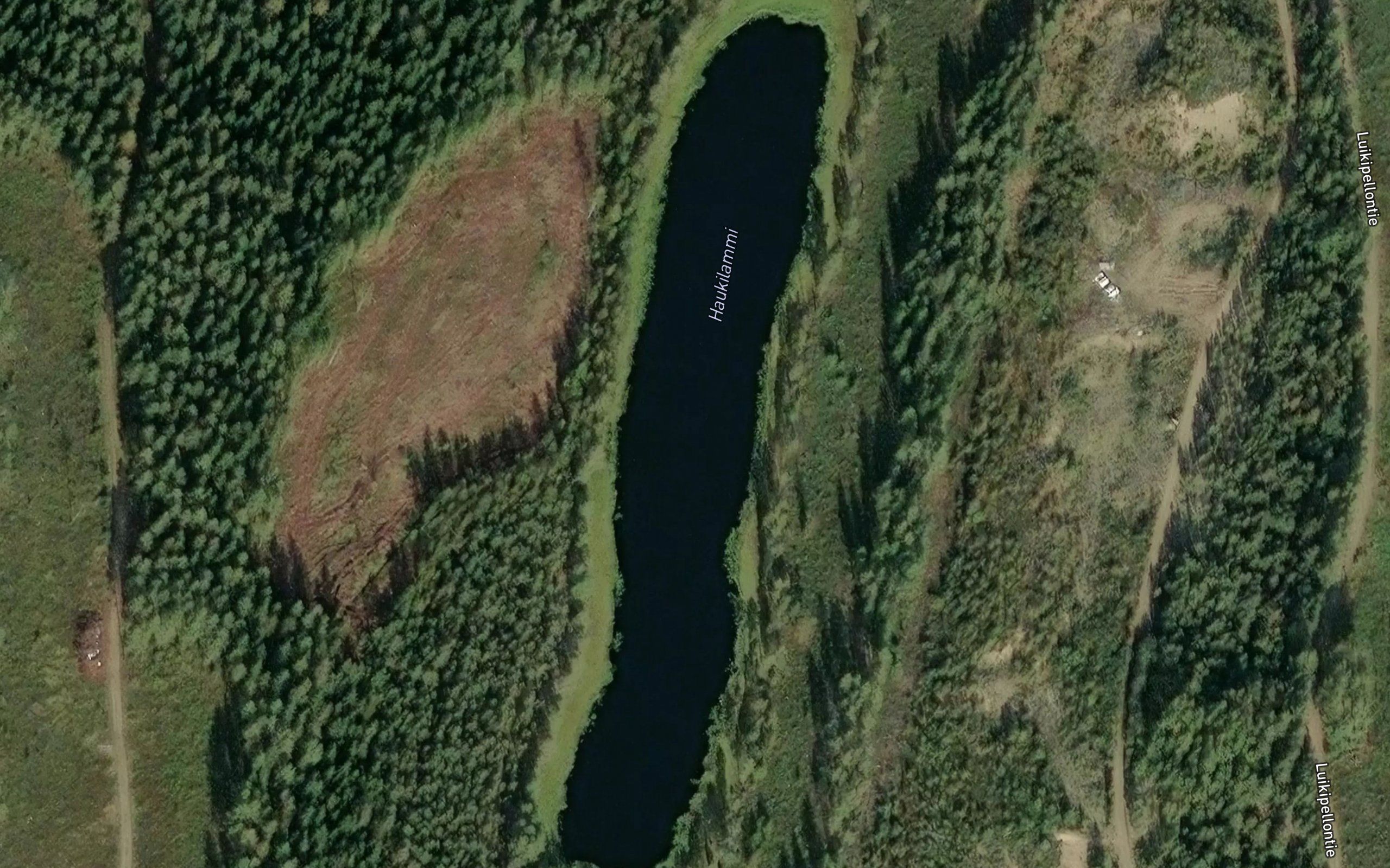 Haukilammi