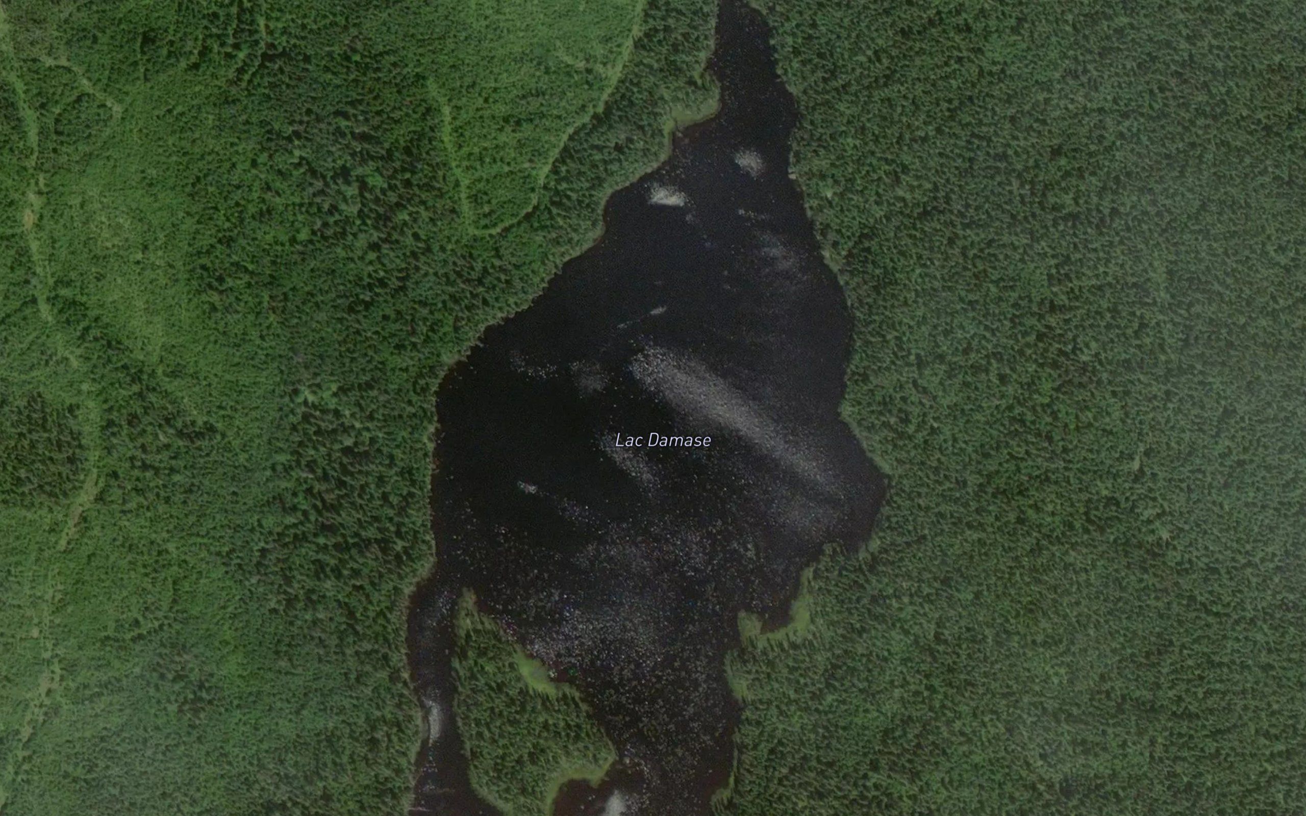 Lac Damase
