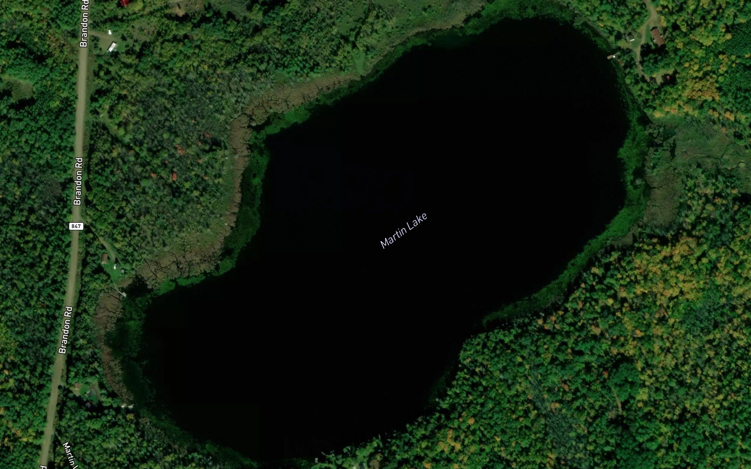 Martin Lake