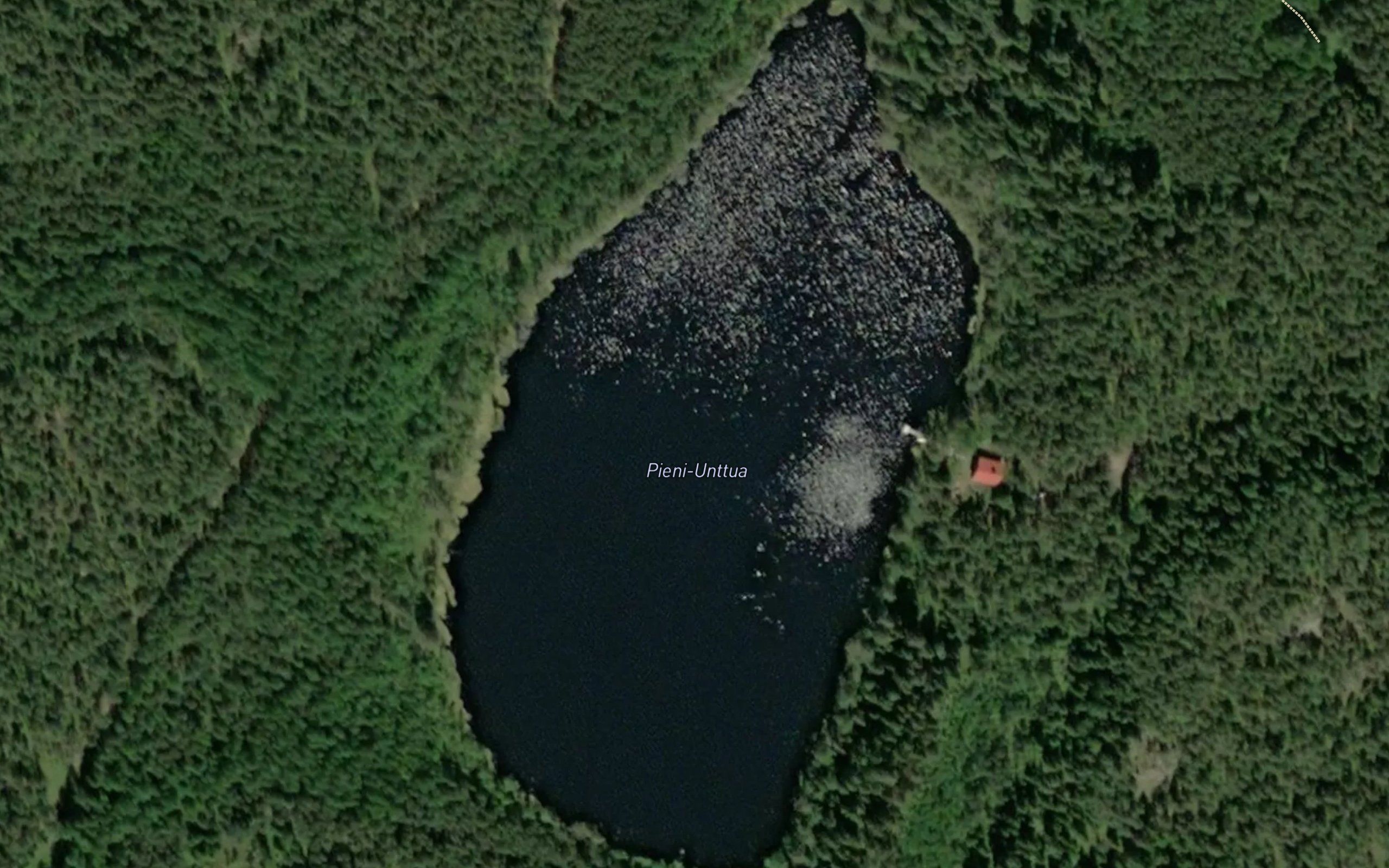 Pieni-Unttua