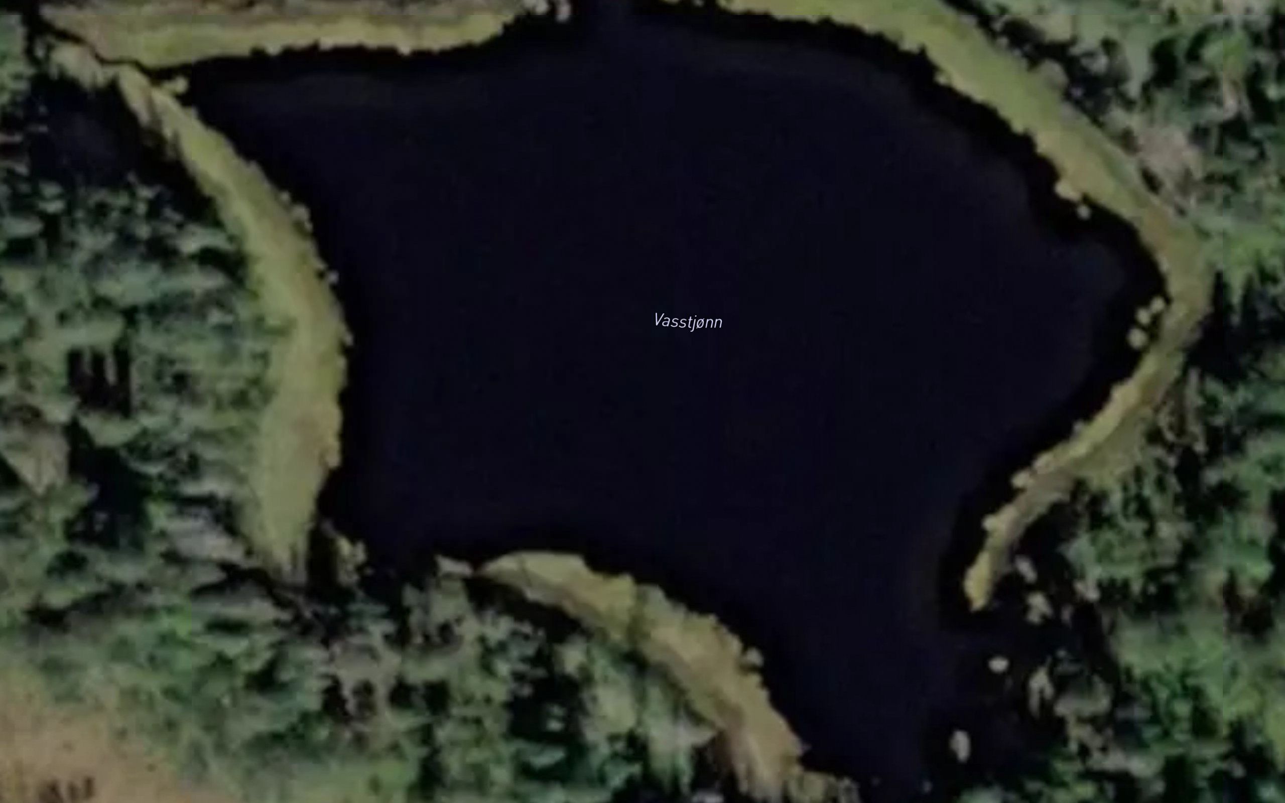 Vasstjorn