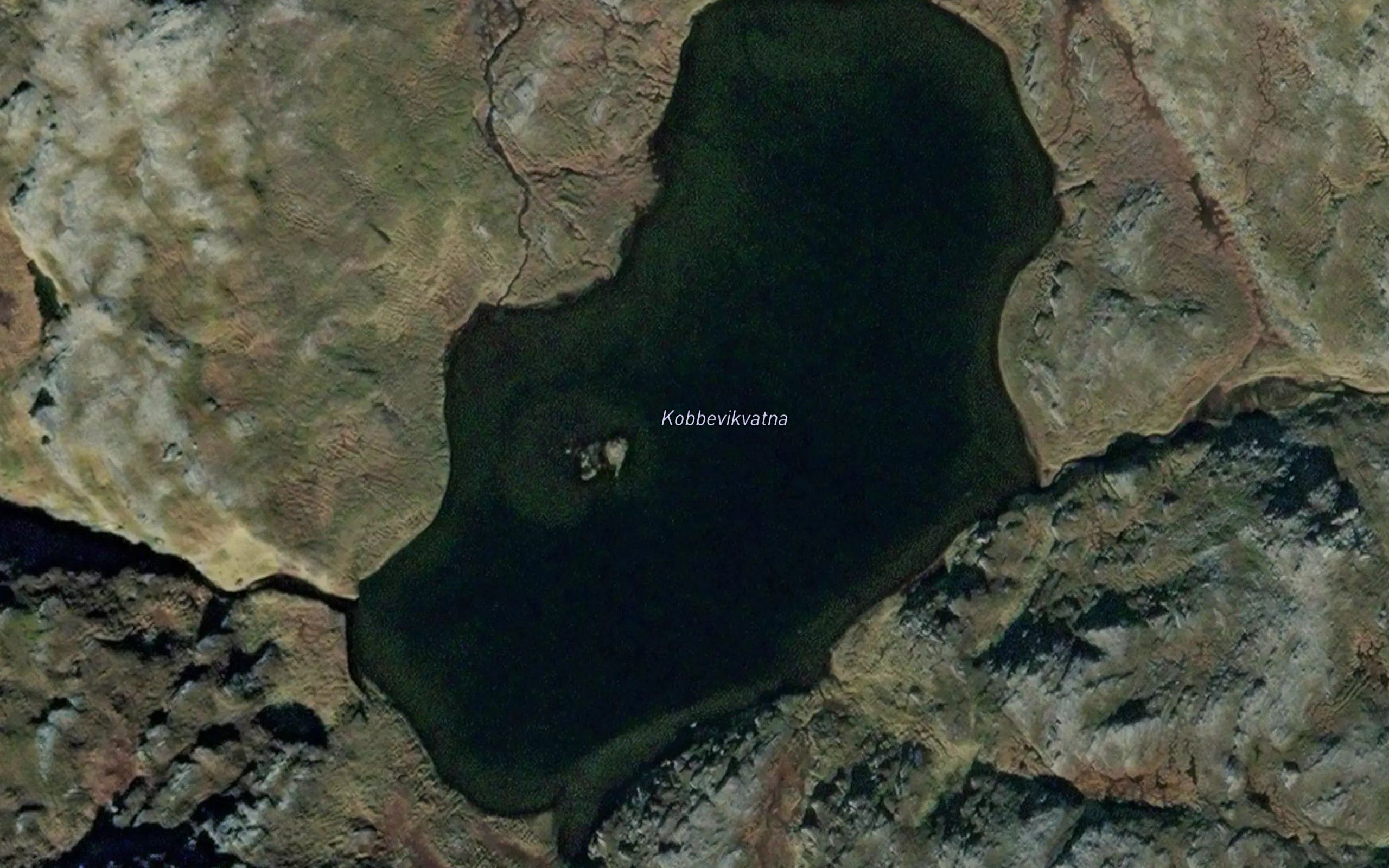 Kobbevikvatna