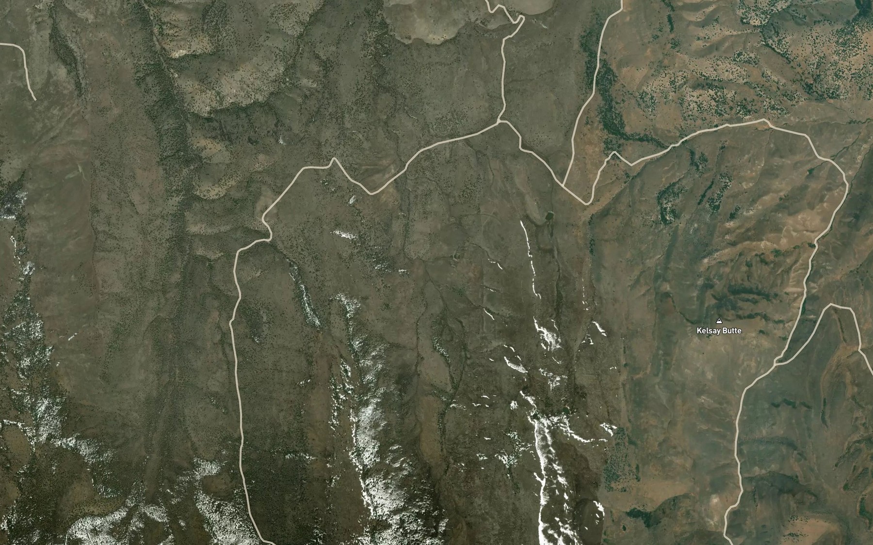 Satellite map of the Baker Spring