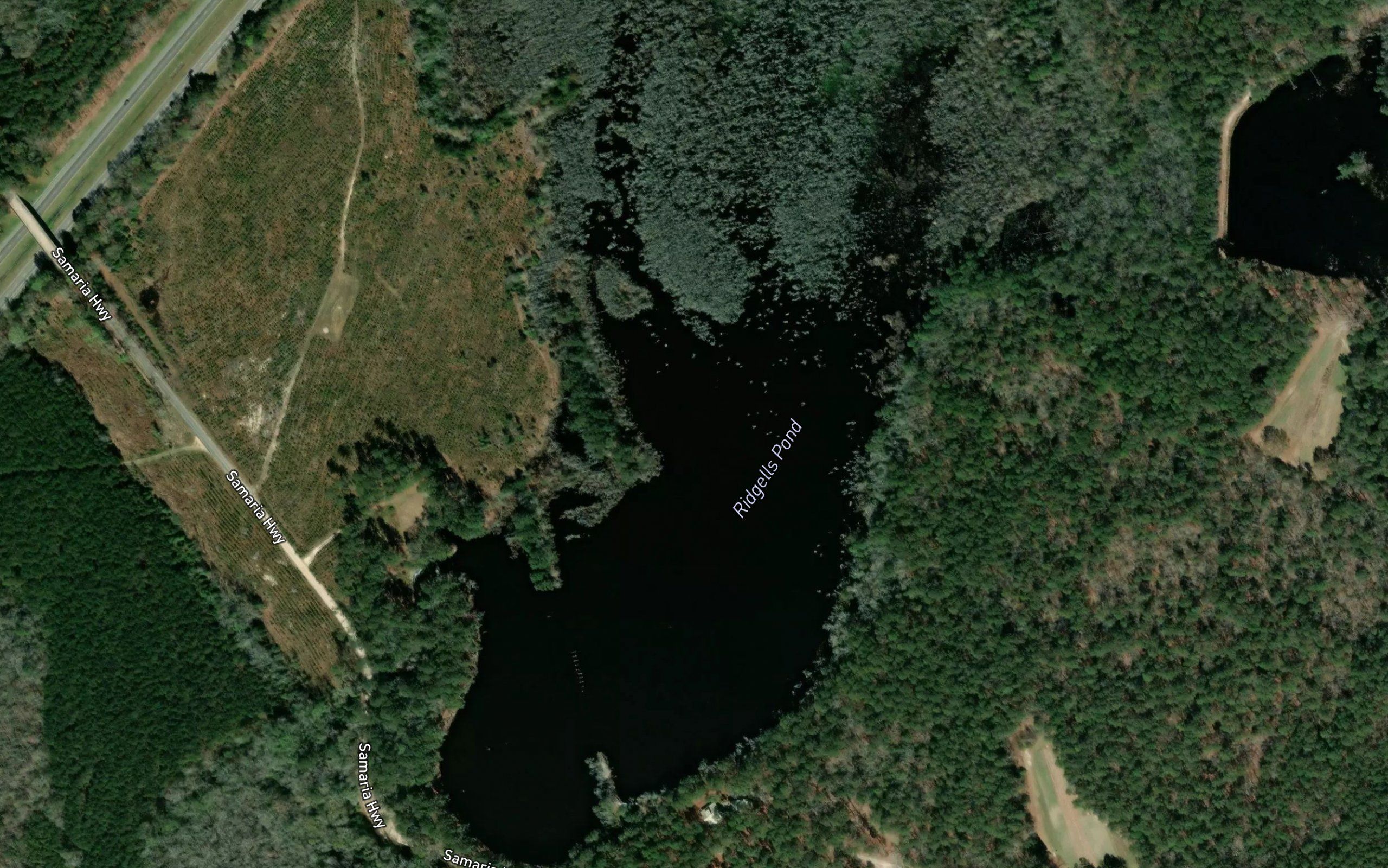 Ridgells Pond