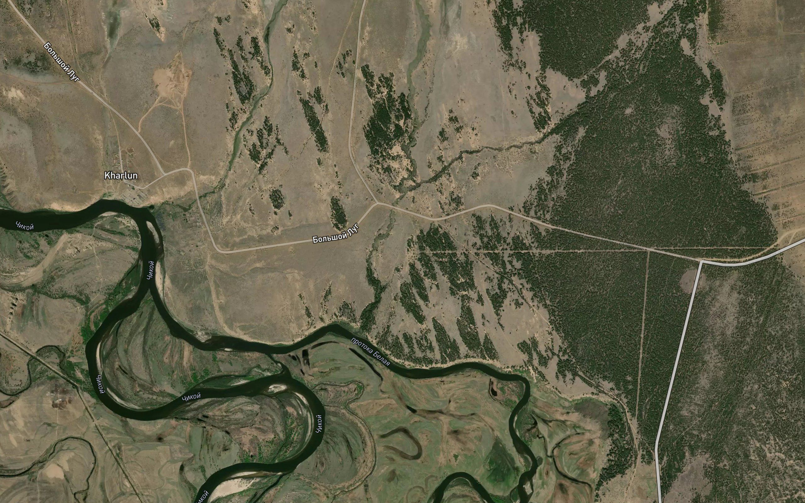 Kholoy