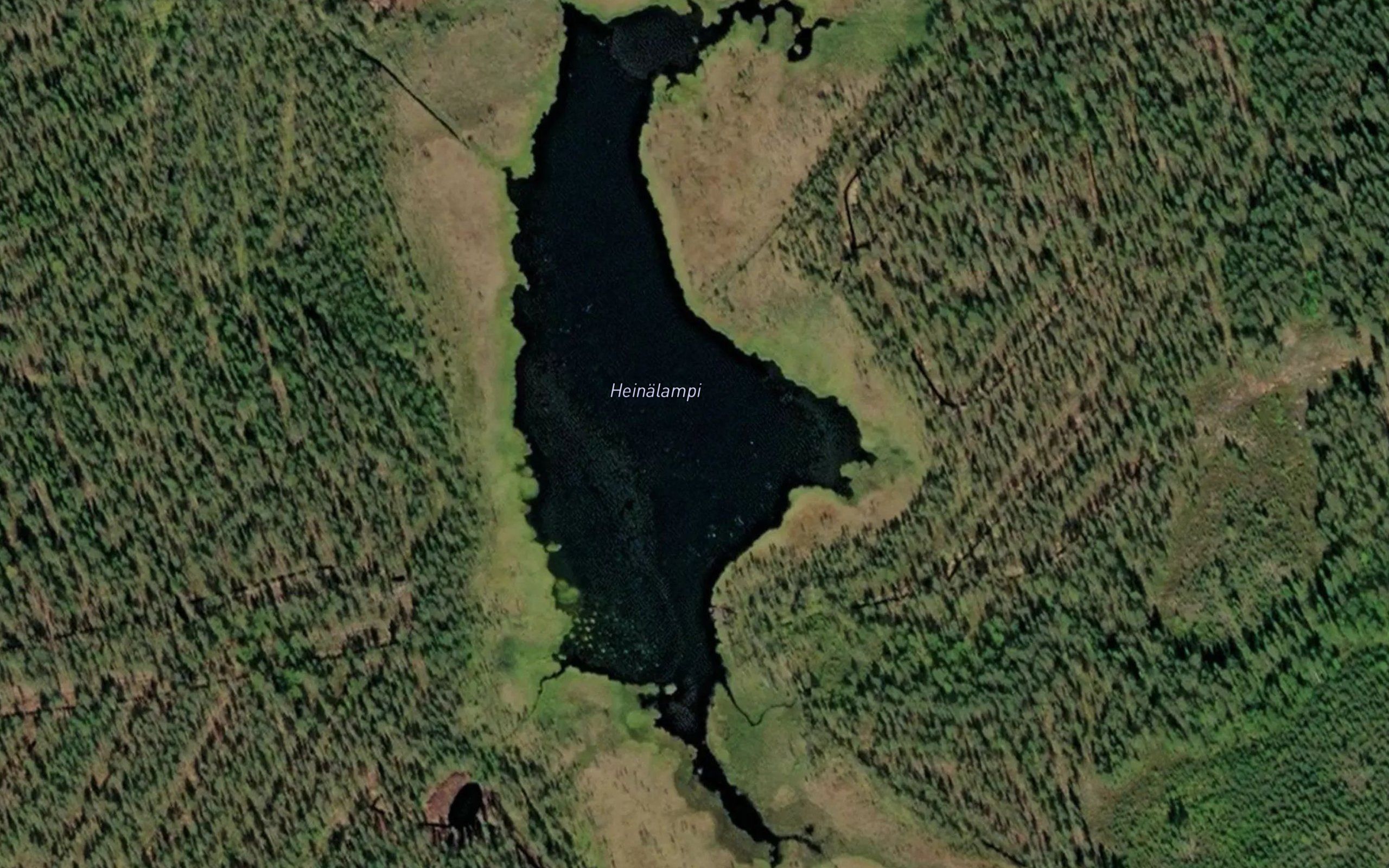 Heinalampi