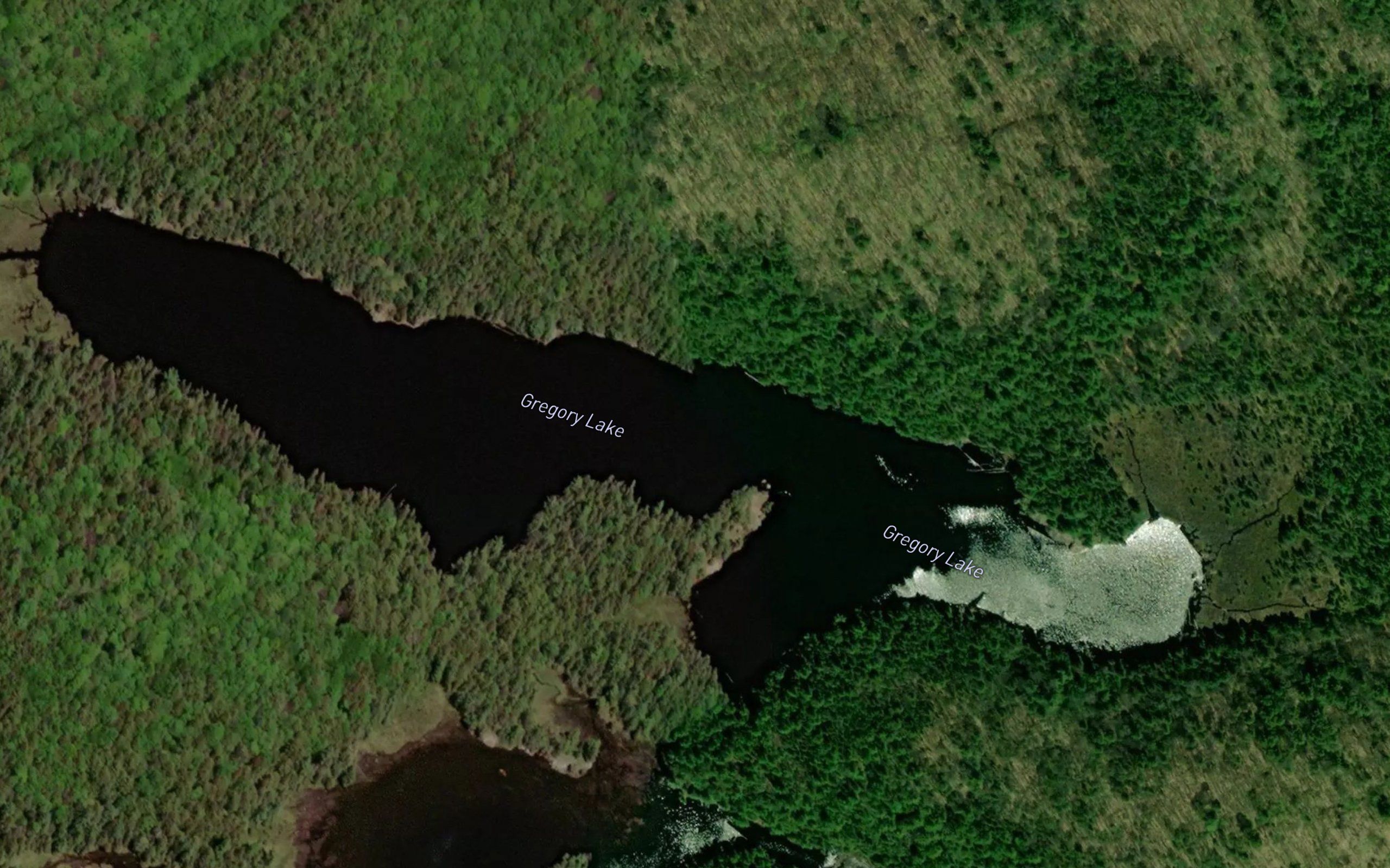 Gregory Lake