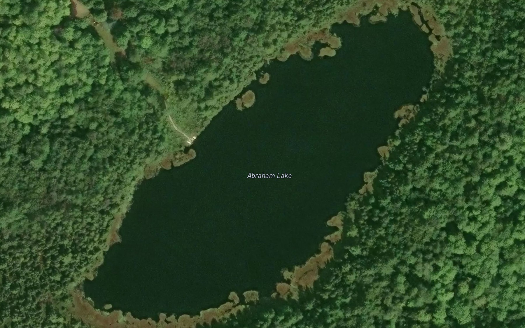 Satellite map of the Abraham Lake