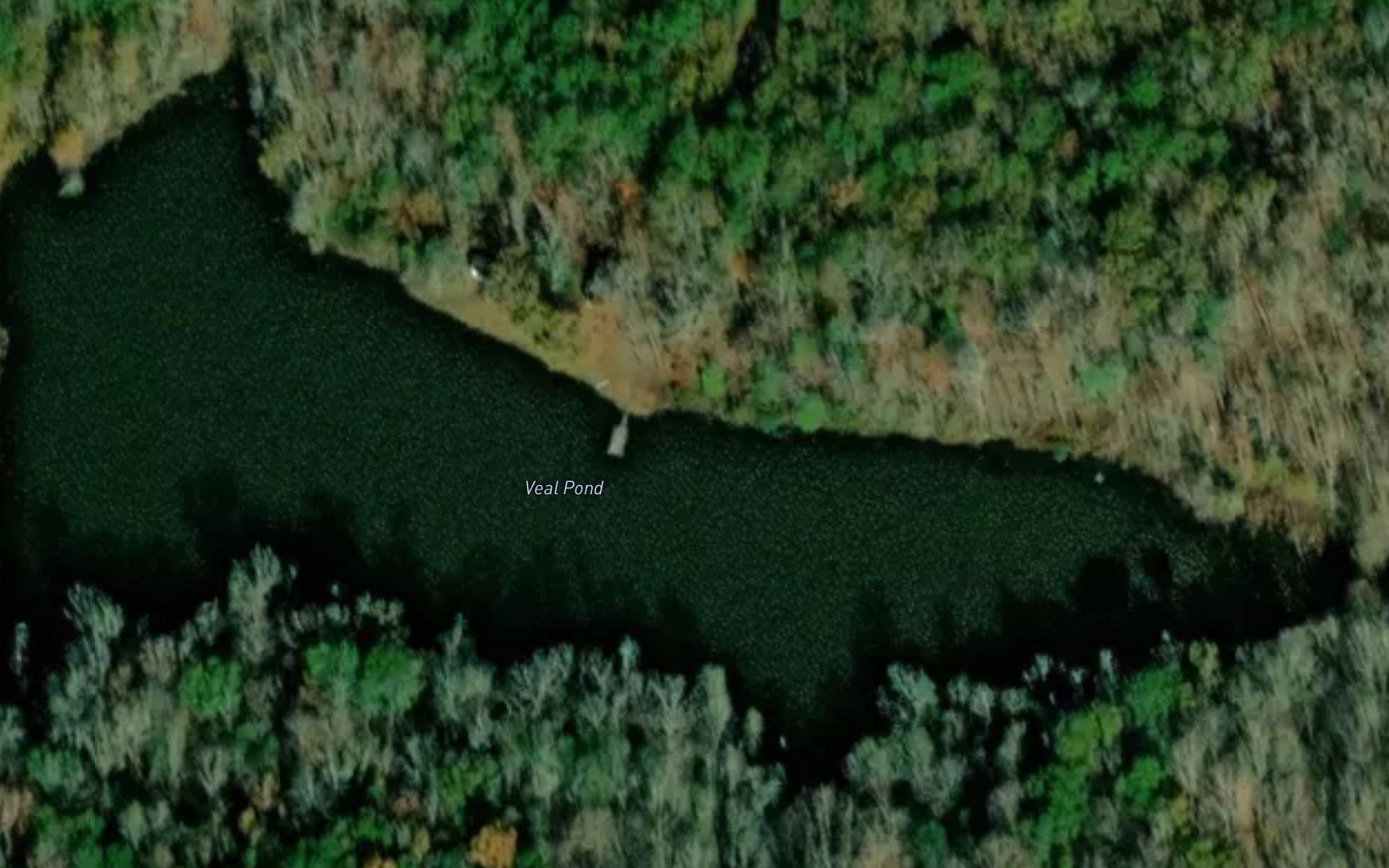 Veal Pond