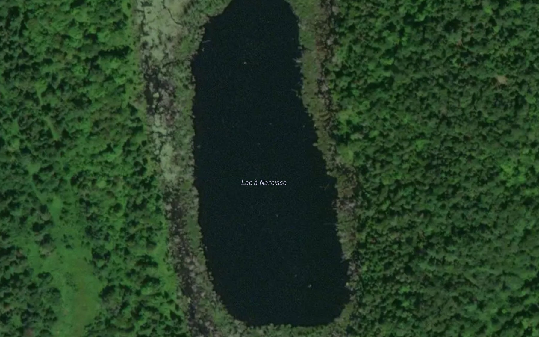 Satellite map of the Lac a Narcisse