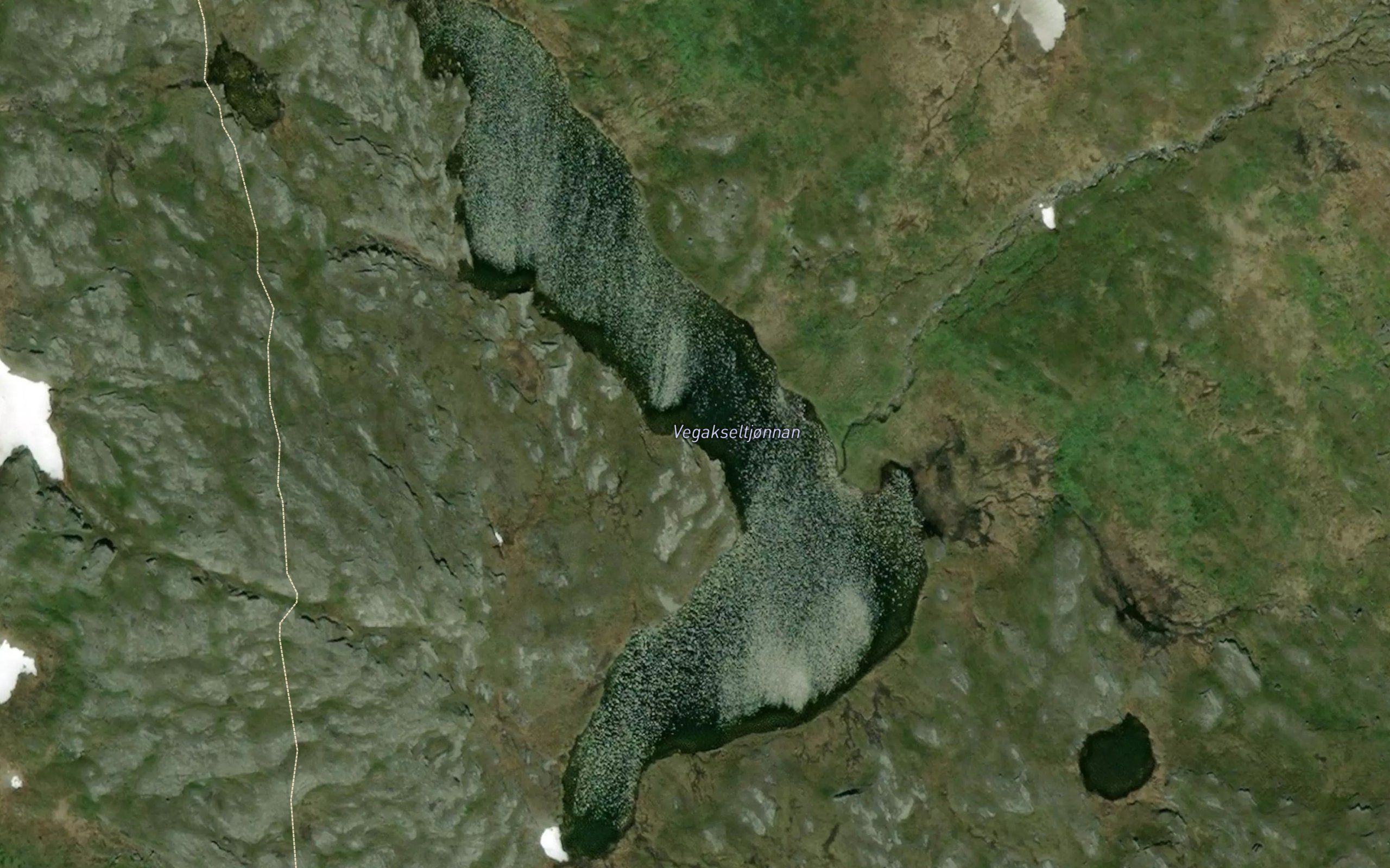 Vegakseltjornan