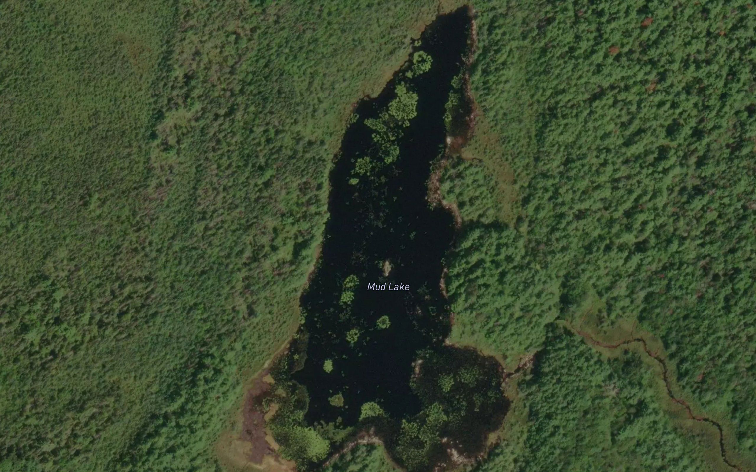 Mud Lake