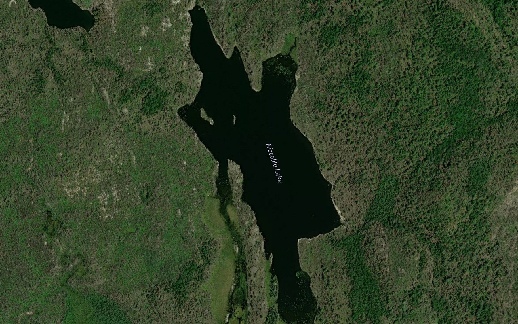 Satellite map of the Niccolite Lake