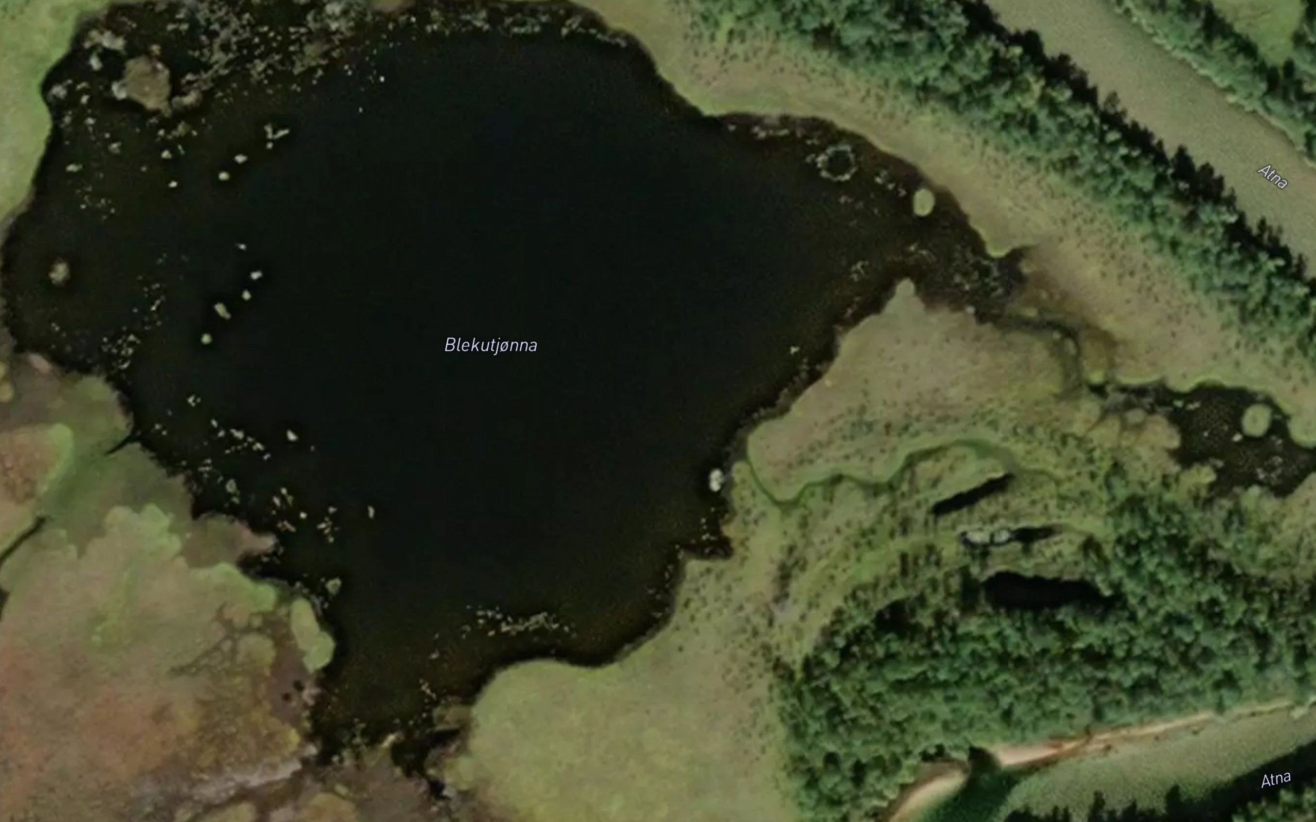Blekutjorni