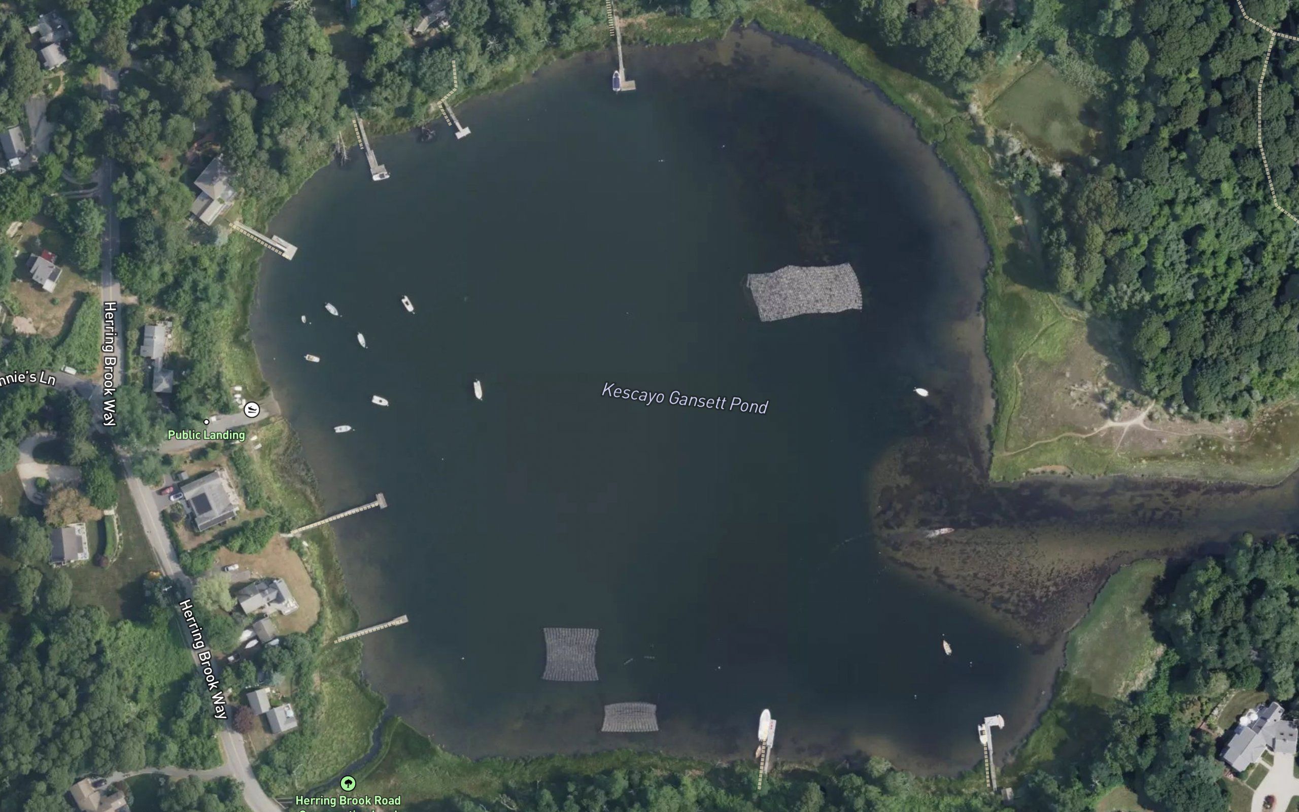 Kescayo Gansett Pond