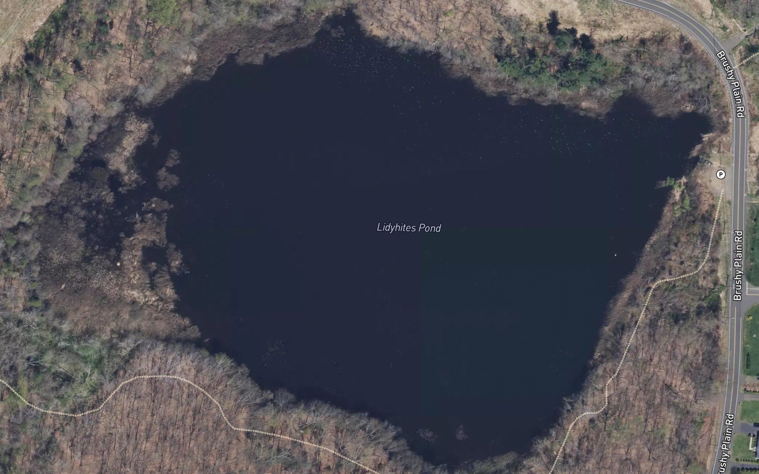 Lidyhites Pond