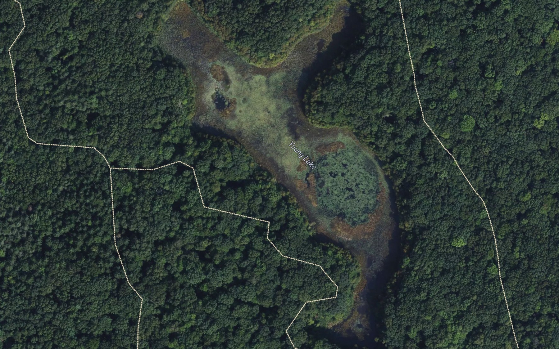 Satellite map of the Young Lake
