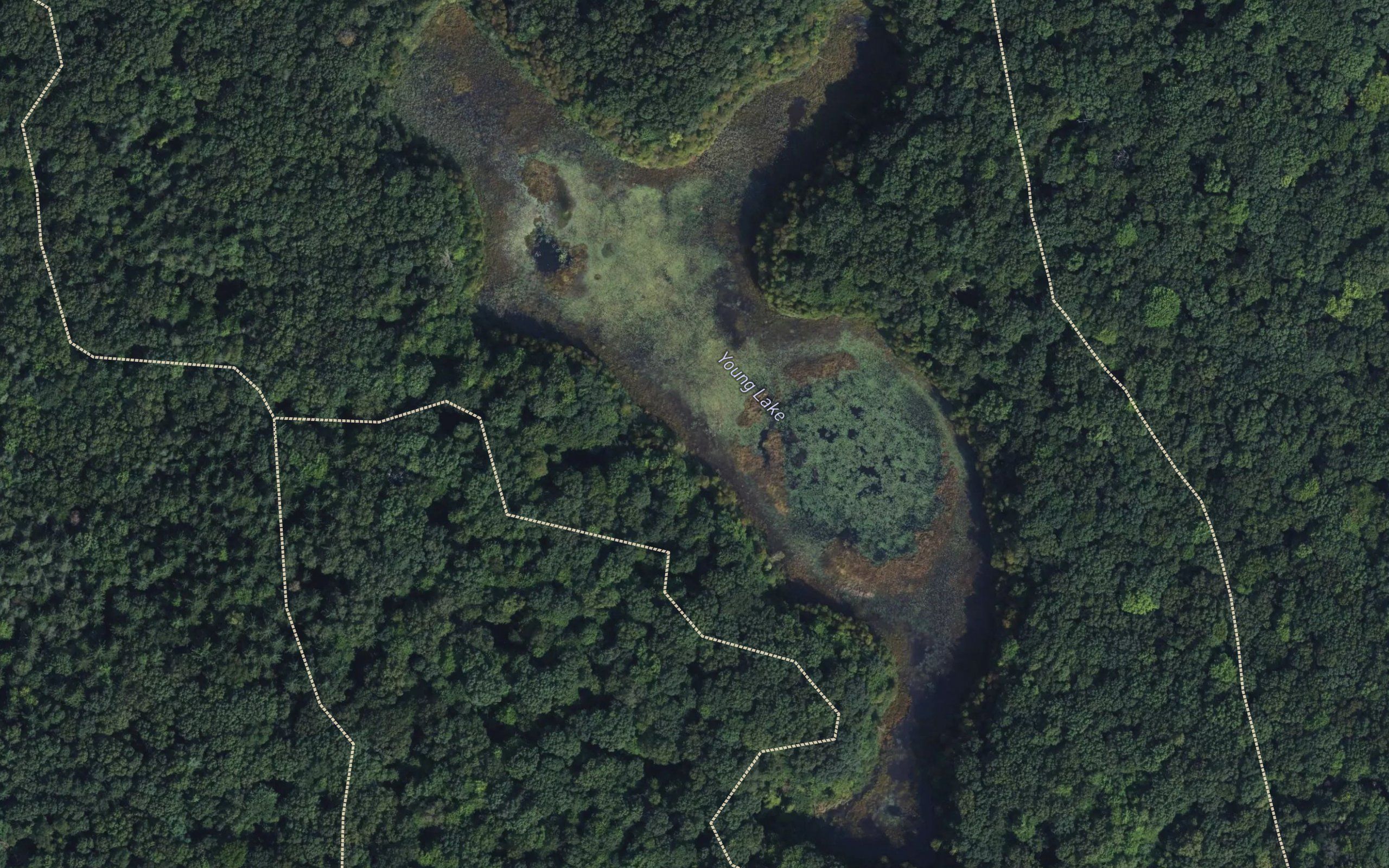 Young Lake
