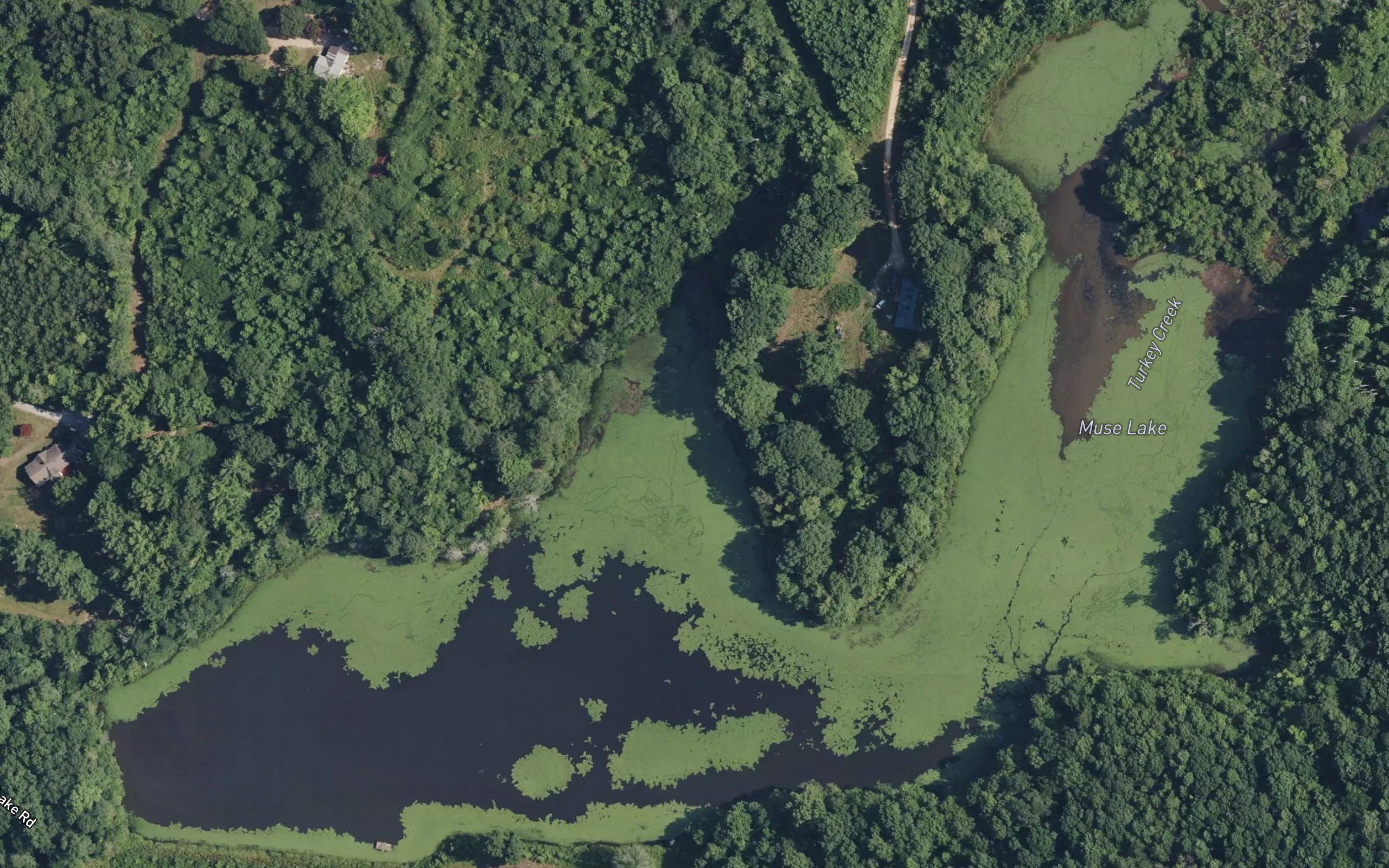 Muse Lake