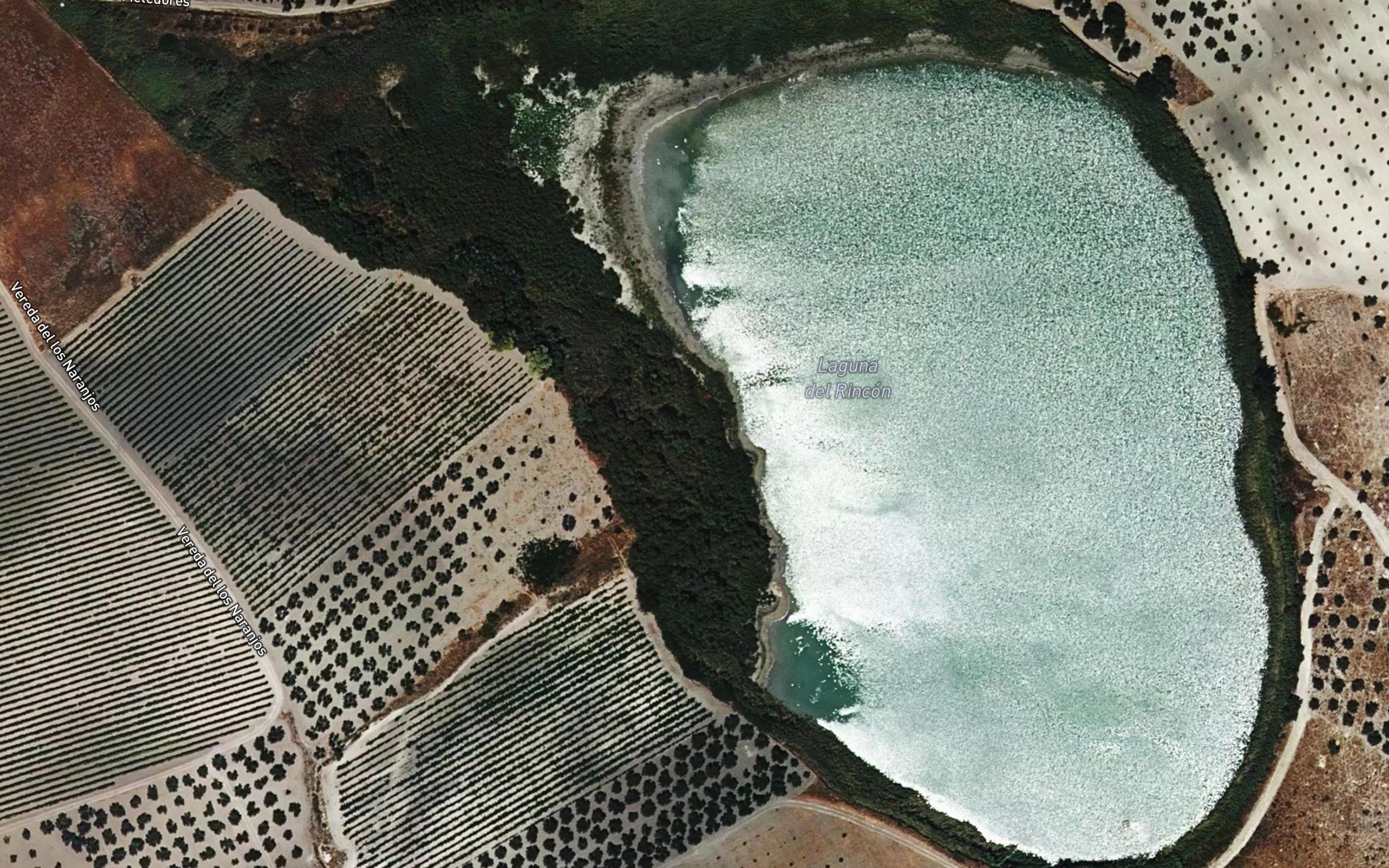 Laguna del Rincon