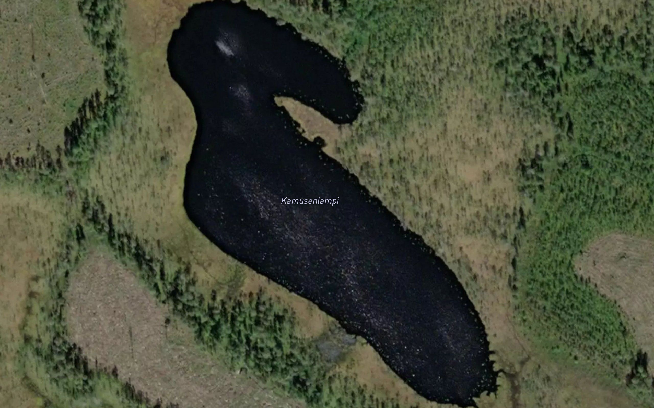 Kamusenlampi
