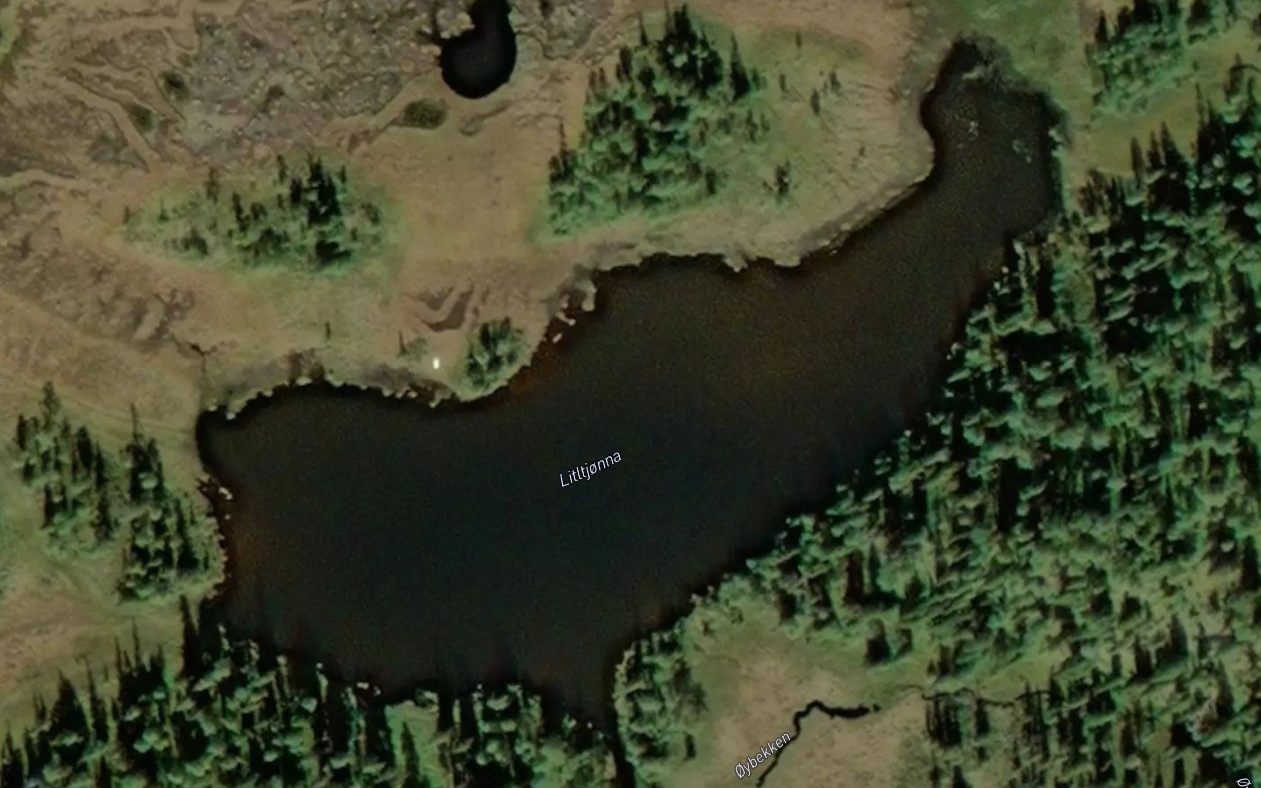Litletjorna