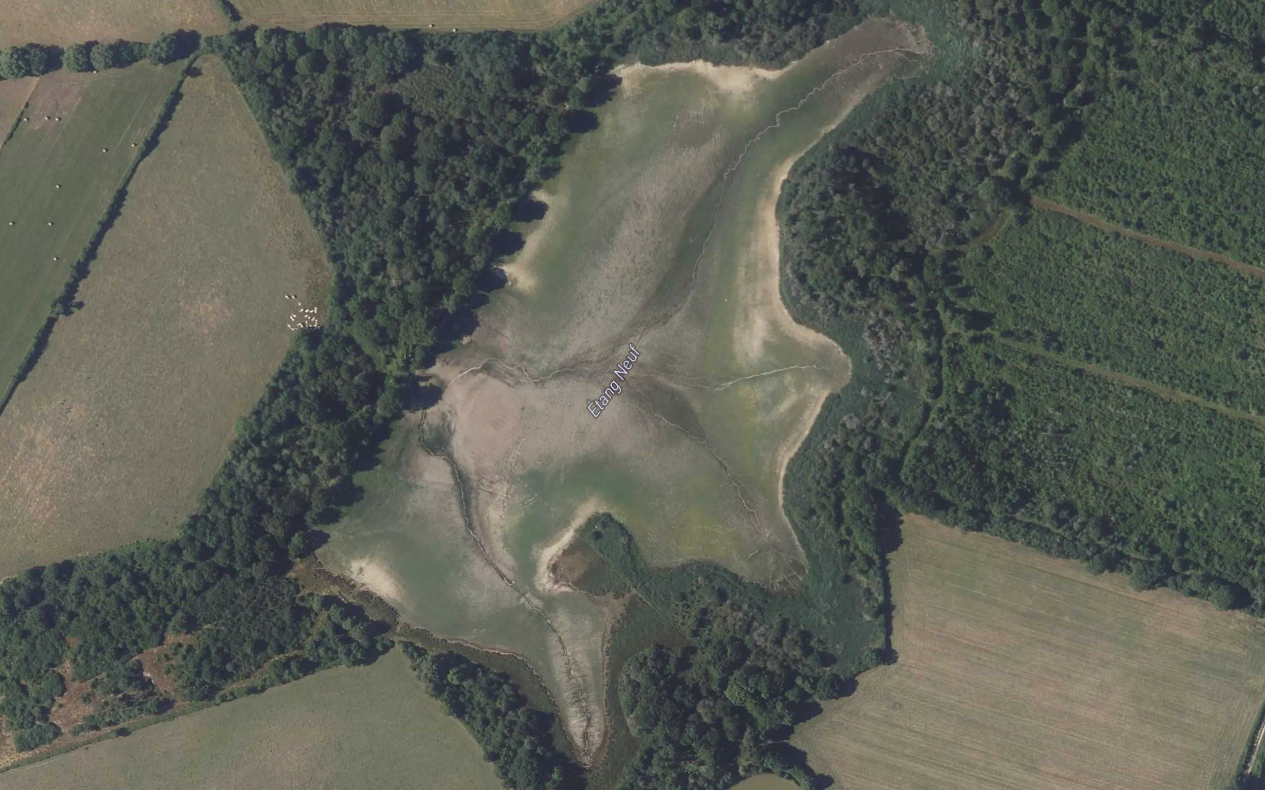 Etang Neuf
