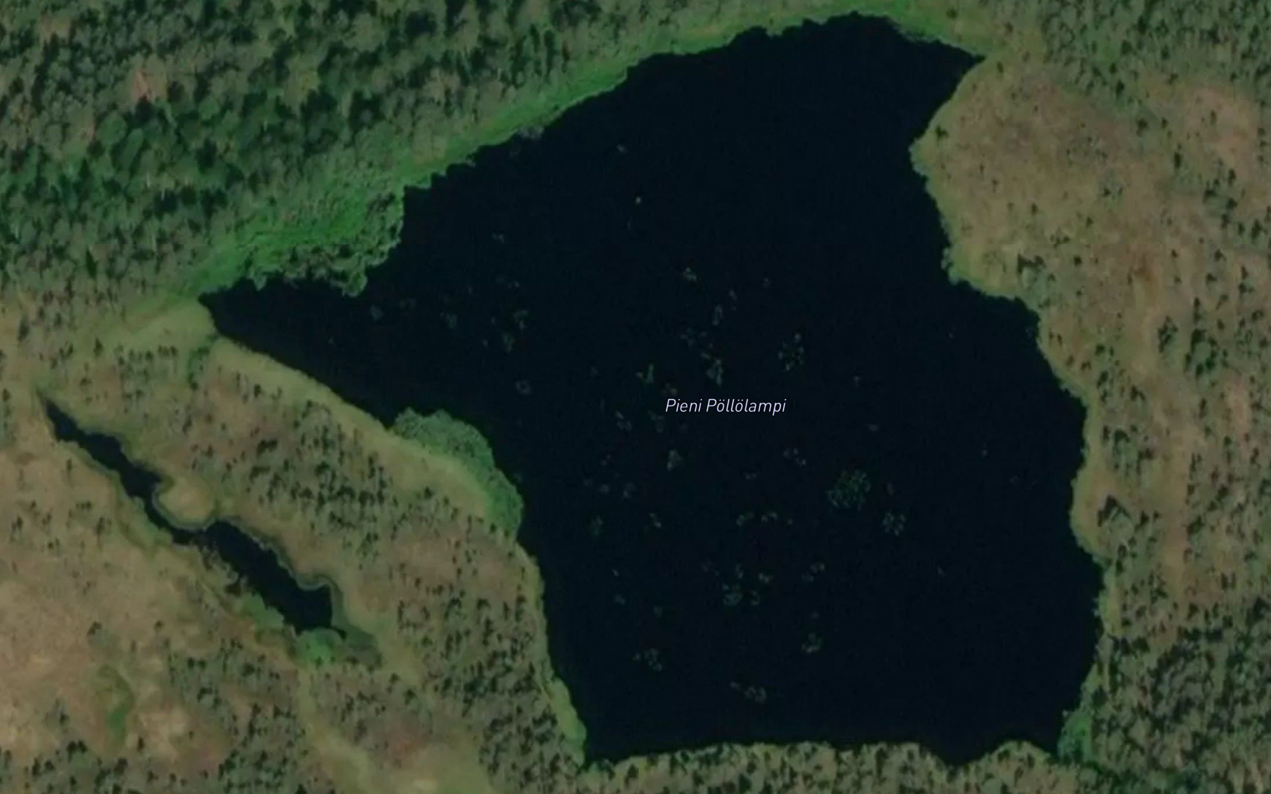 Pieni Pollolampi
