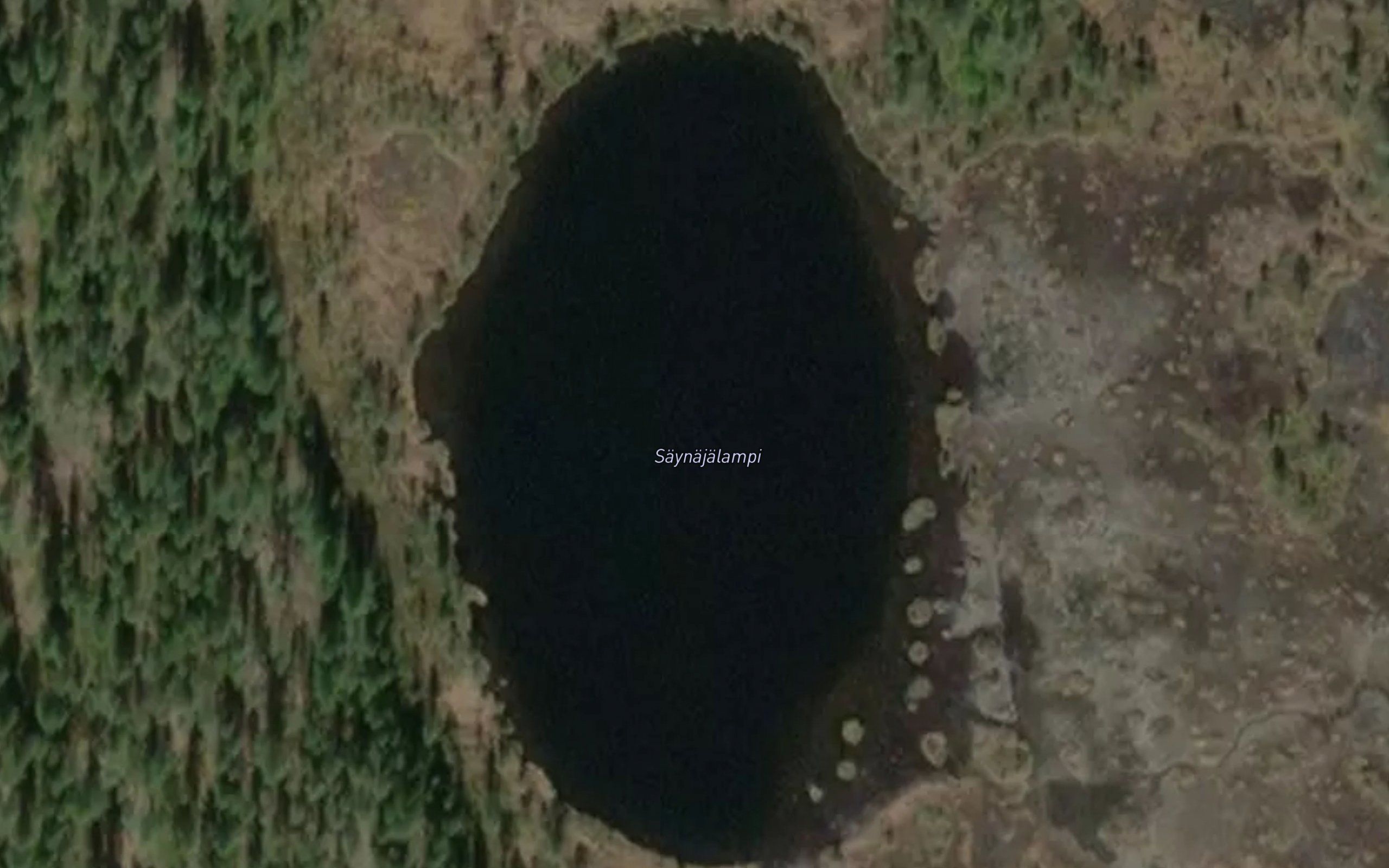 Saynajalampi