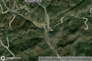 Meadow Branch